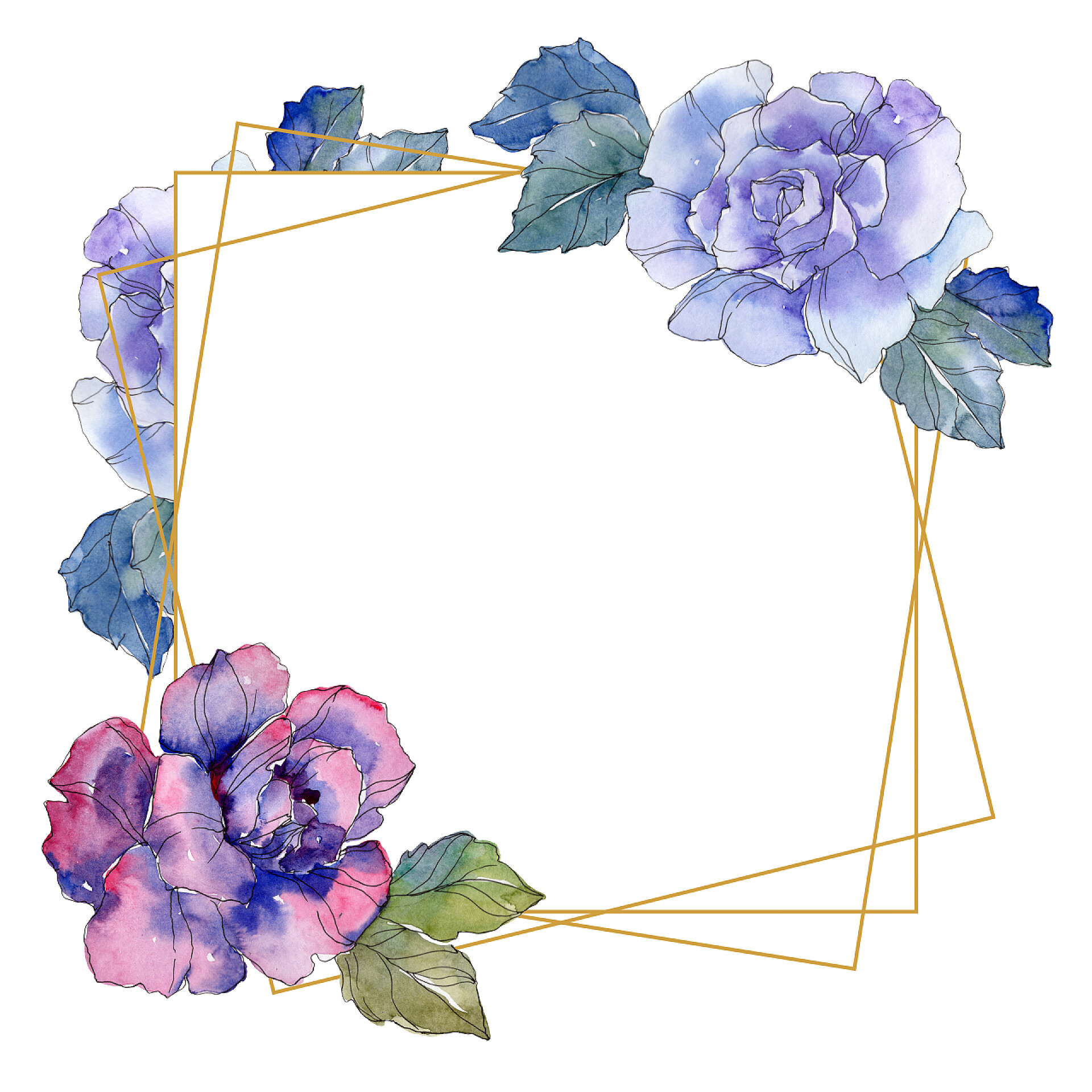 在白色背景墙前一幅相框中两朵不同颜色的花朵玫瑰花植物学花。野生春叶野花分离。水彩背景插图集。水彩画时尚水彩画。框架边框装饰正方形.