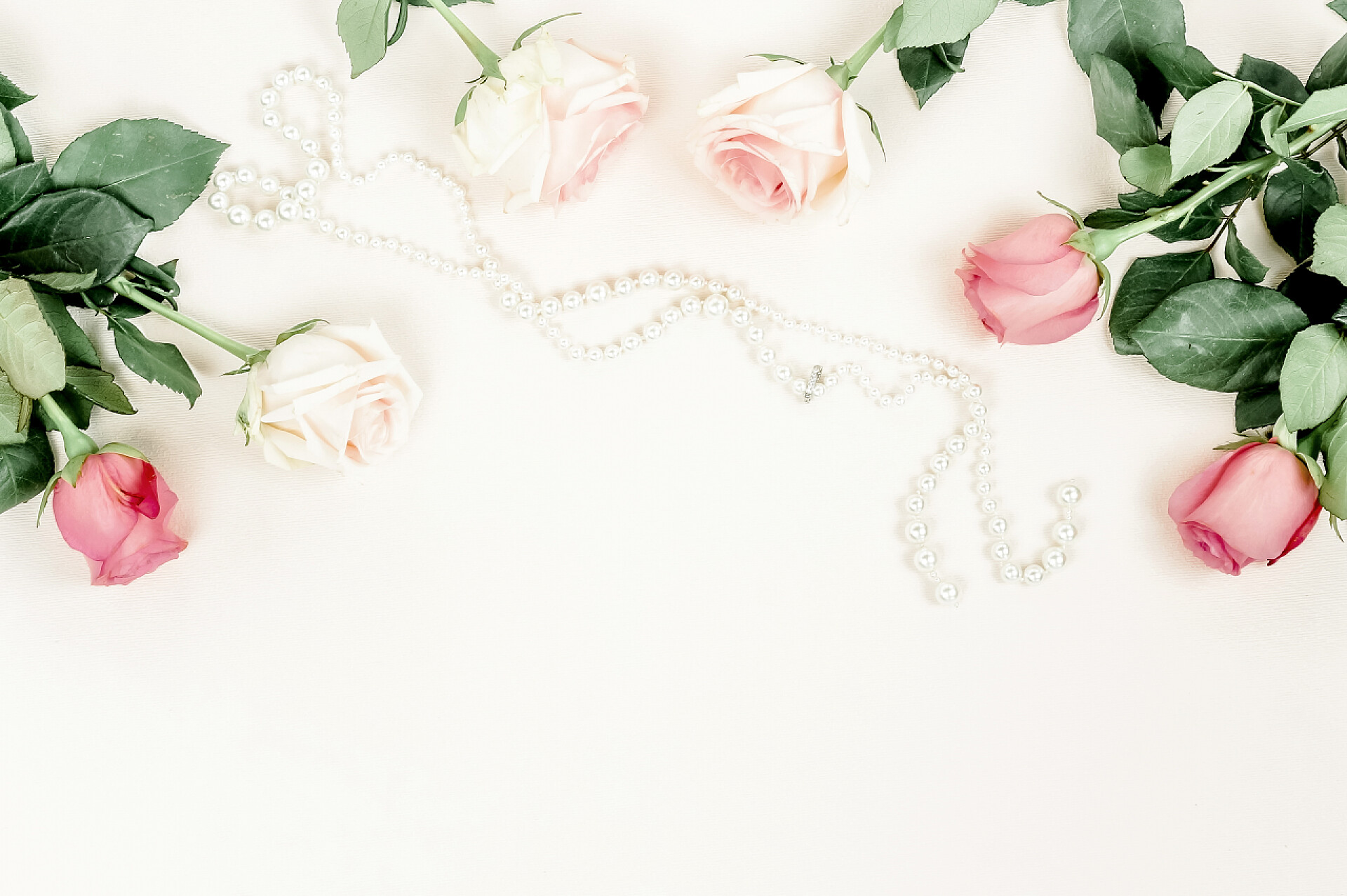 在白色的地面上散落着一串珍珠项链和几朵玫瑰花在明亮的背景下欣赏美丽玫瑰和珍珠项链的美景