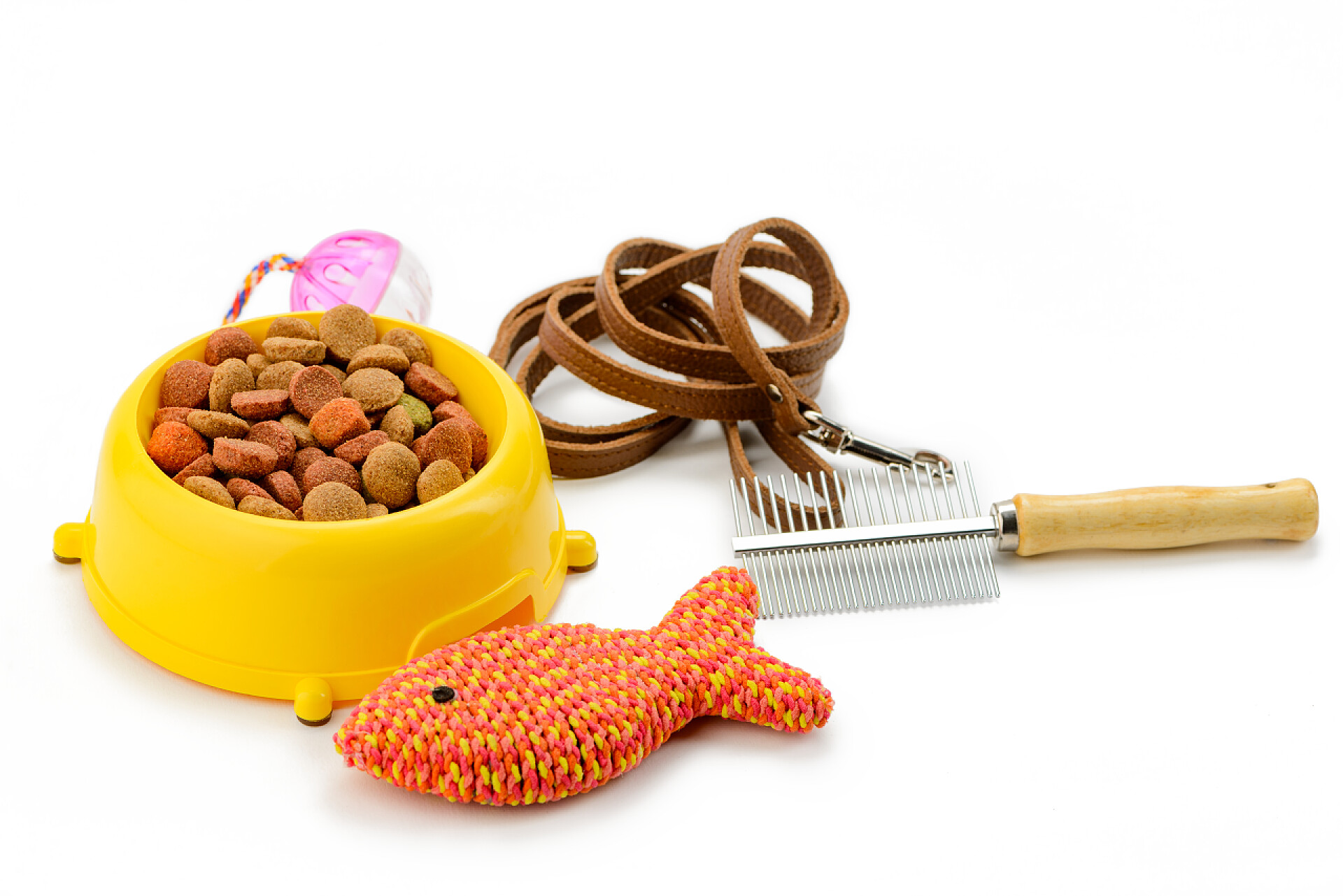 白色桌子上的狗粮牵引绳玩具梳子猫粮、刷子和玩具