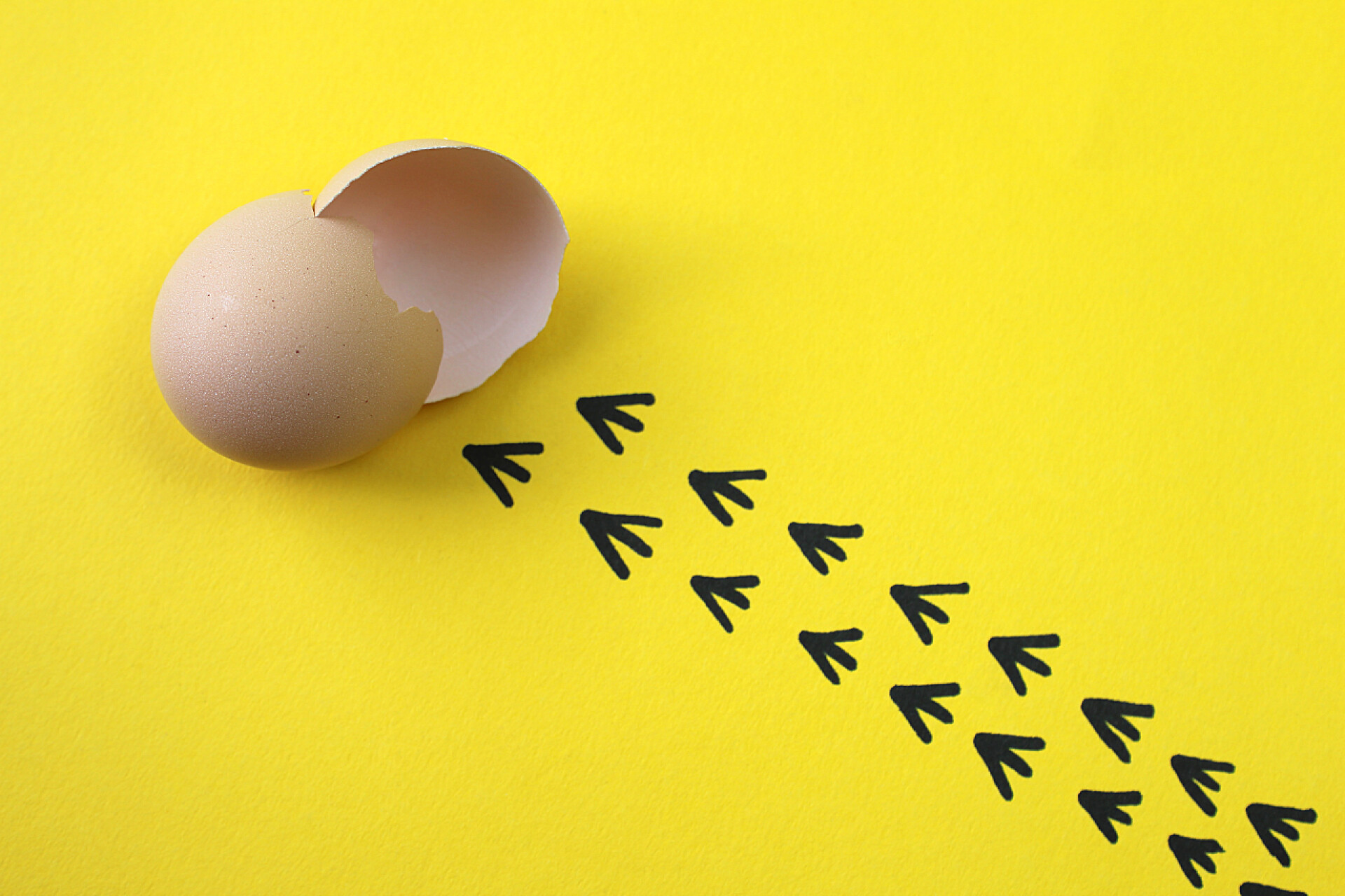 在黄色的桌子上一个孵化的鸡蛋壳小鸡孵化和离开的贝壳和痕迹 