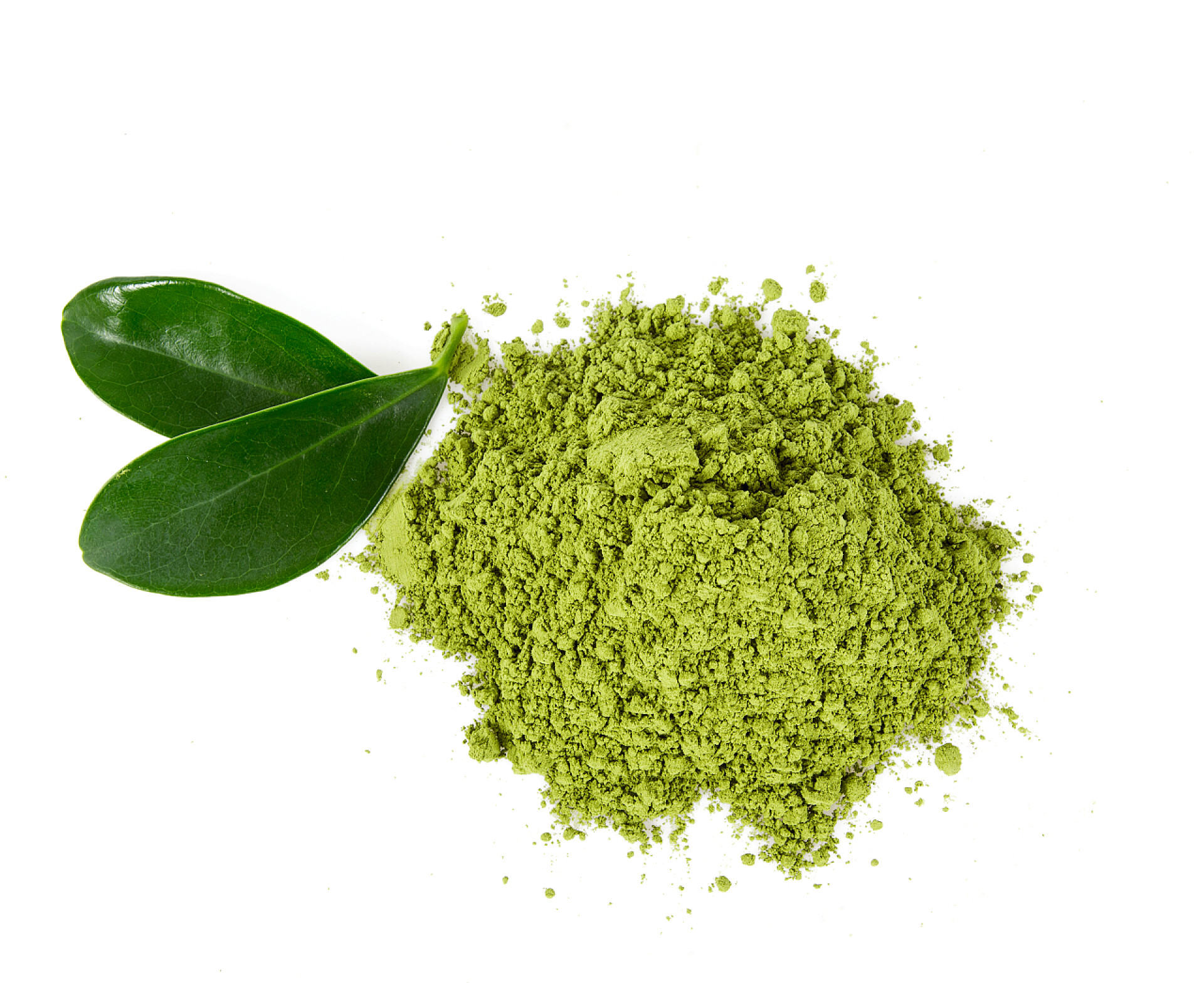 在白色的背景下绿色的叶子与绿色的摩擦相互辉映抹茶上白色孤立