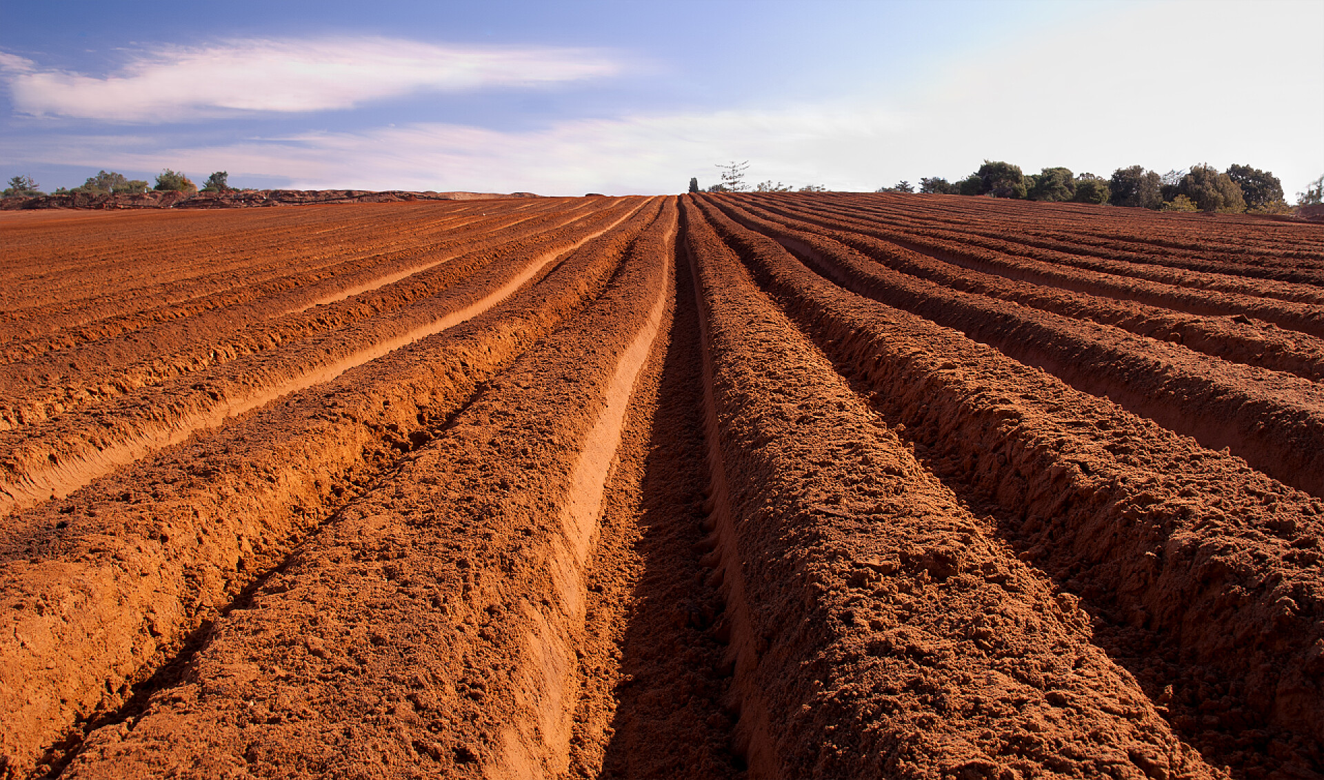 蓝天下的黄田地景观