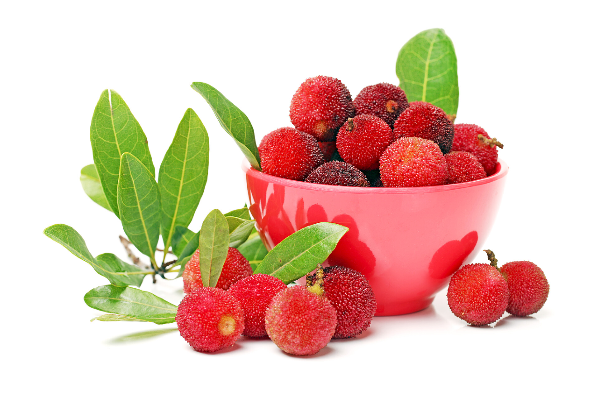 白色背景上的杨梅在白色背景上的杨梅树