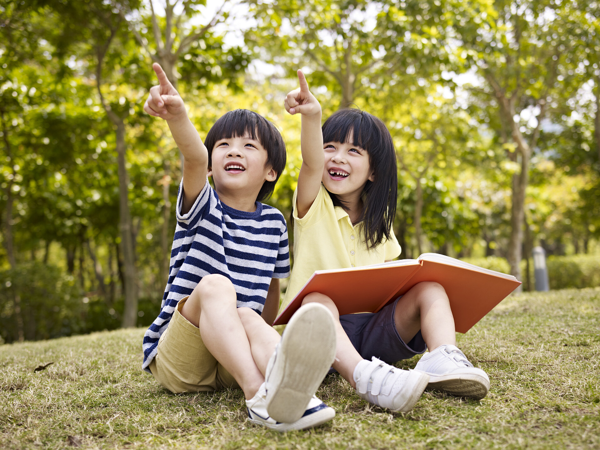 小男孩和女孩在草地上坐着手指天空两个漂亮的亚洲孩子