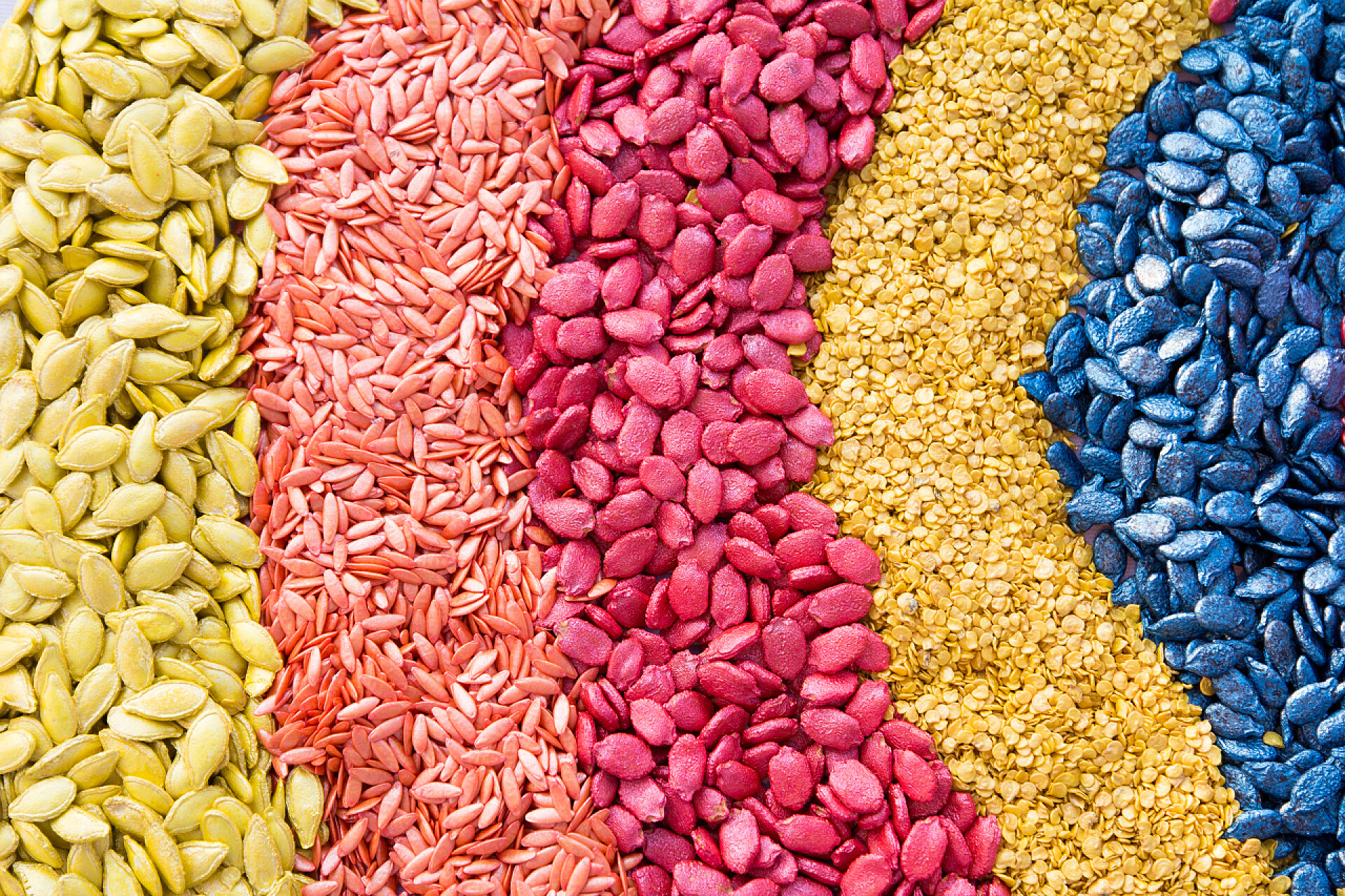 五颜六色的稻谷全谷类的背景