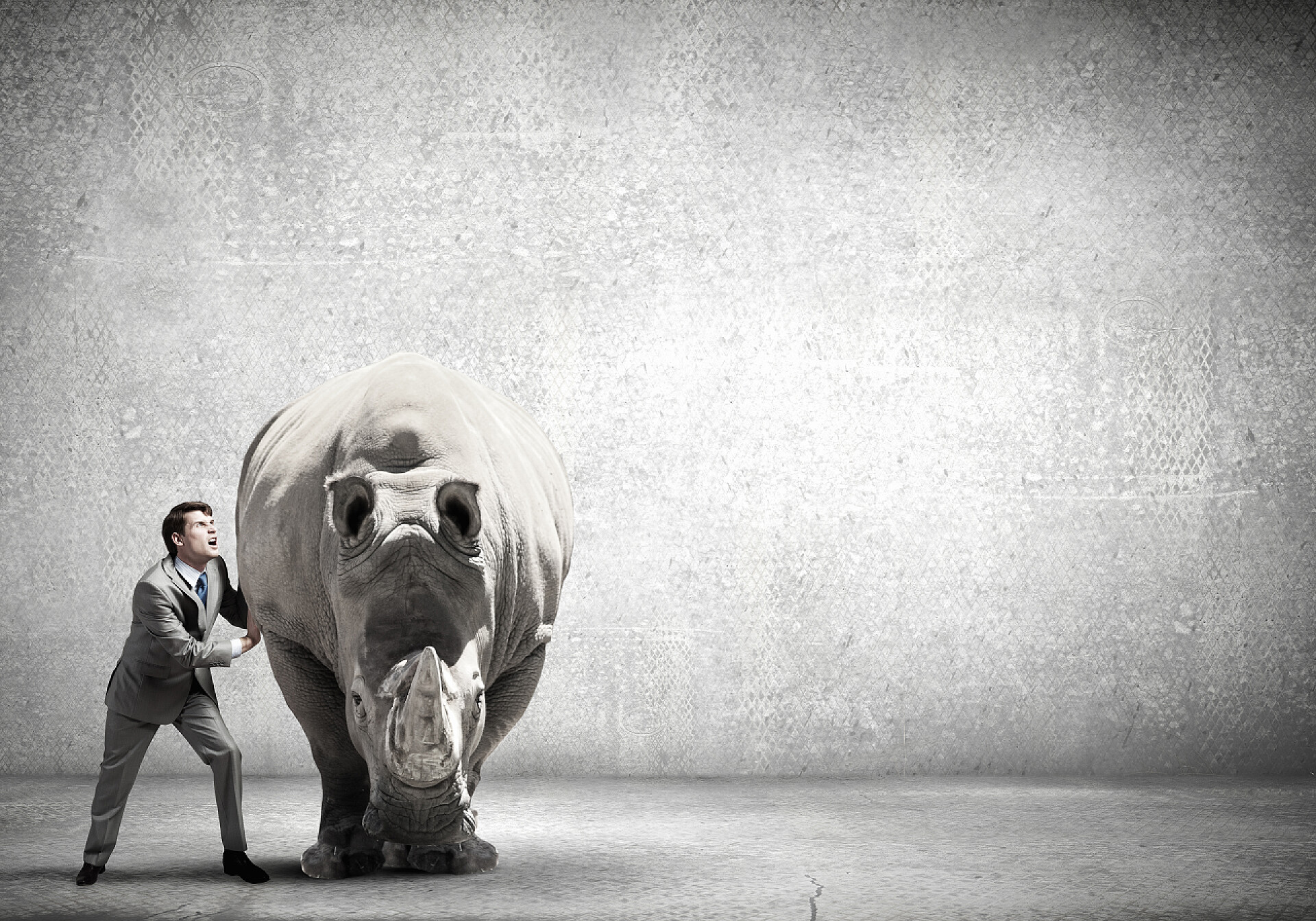 努力地移动大犀牛的商人克服困难