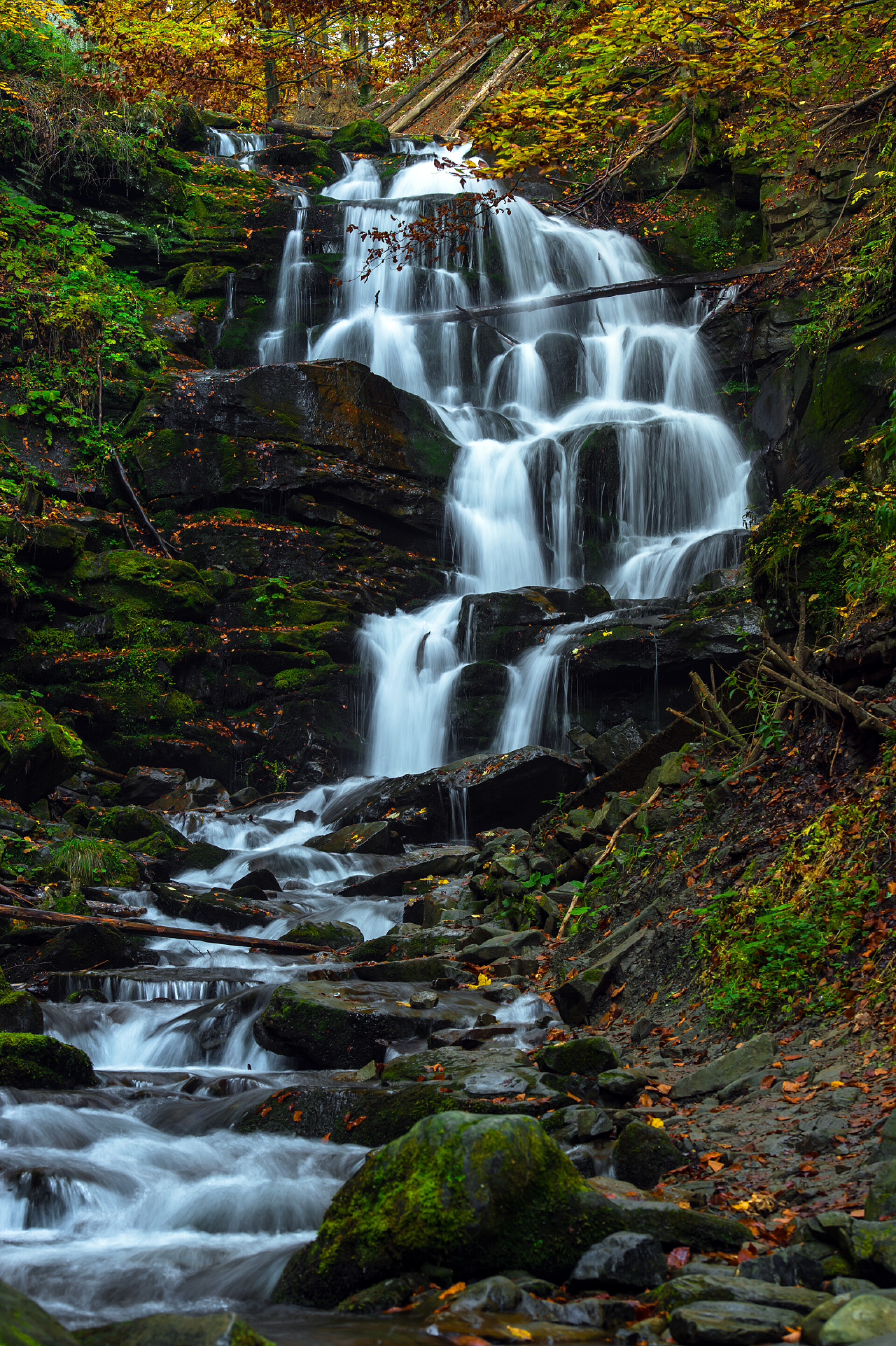 森林中的一条河山中的秋天风景