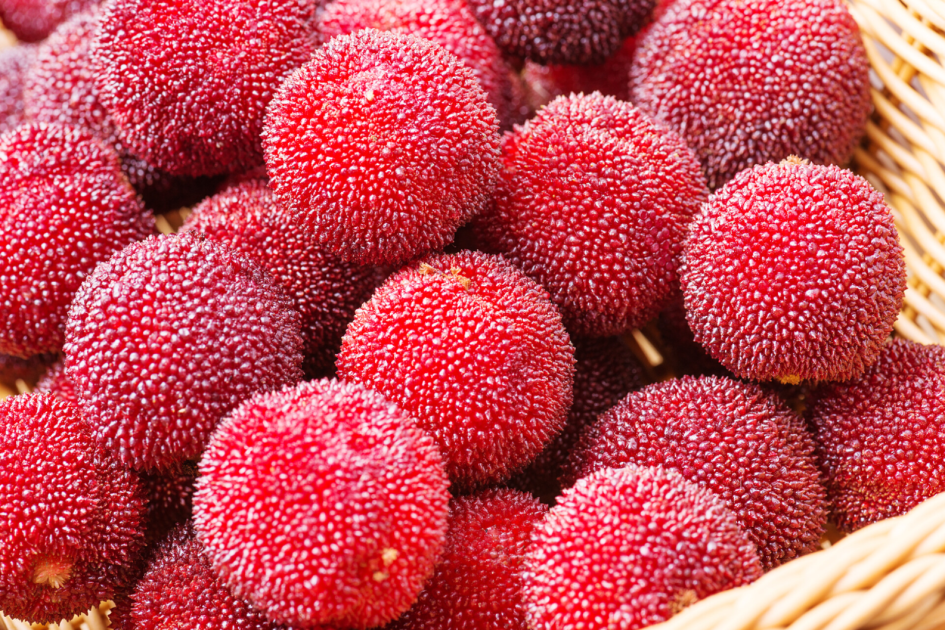 篮子里成熟的杨梅红色和成熟的杨梅红