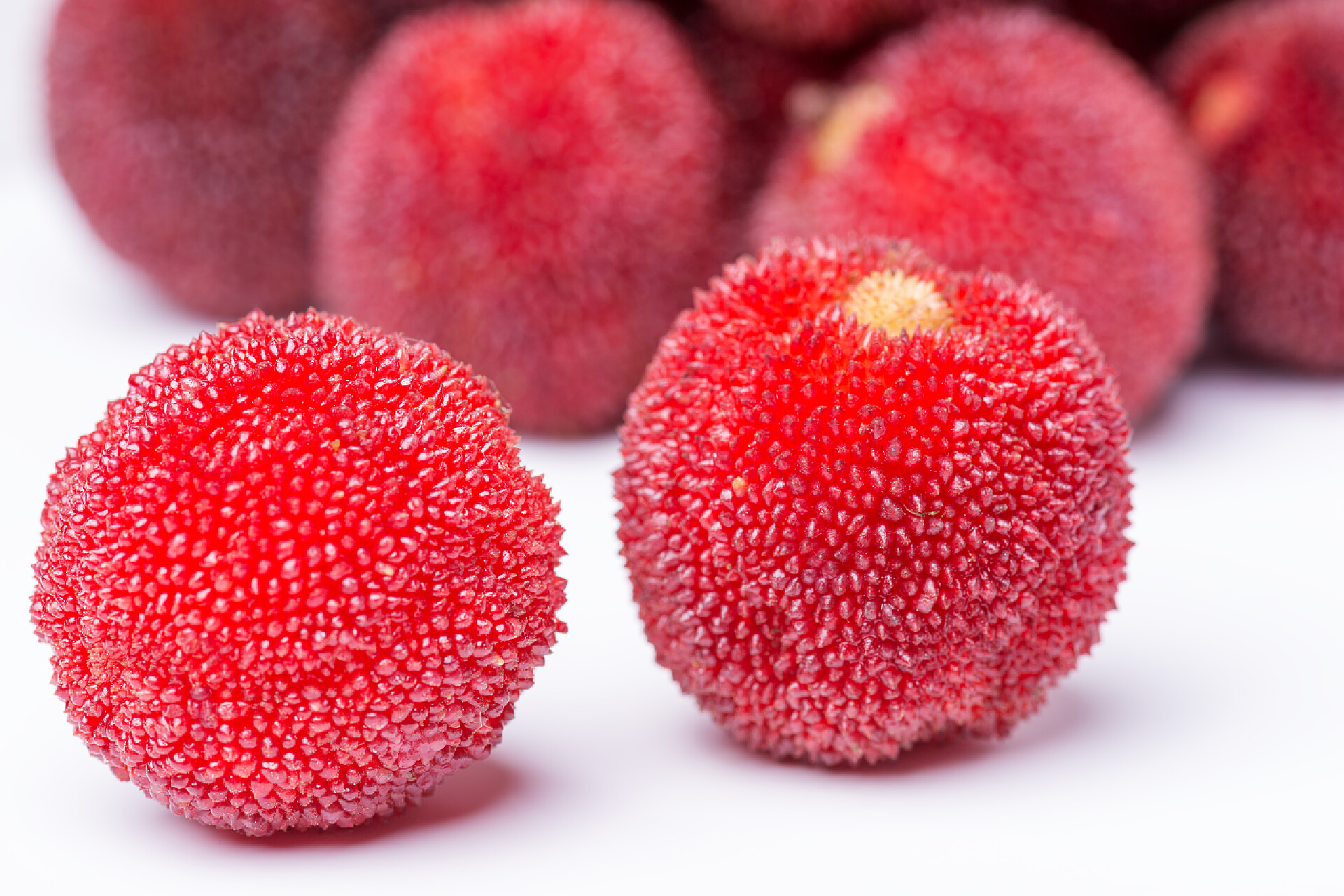 白色背景上的杨梅红色和成熟的杨梅红