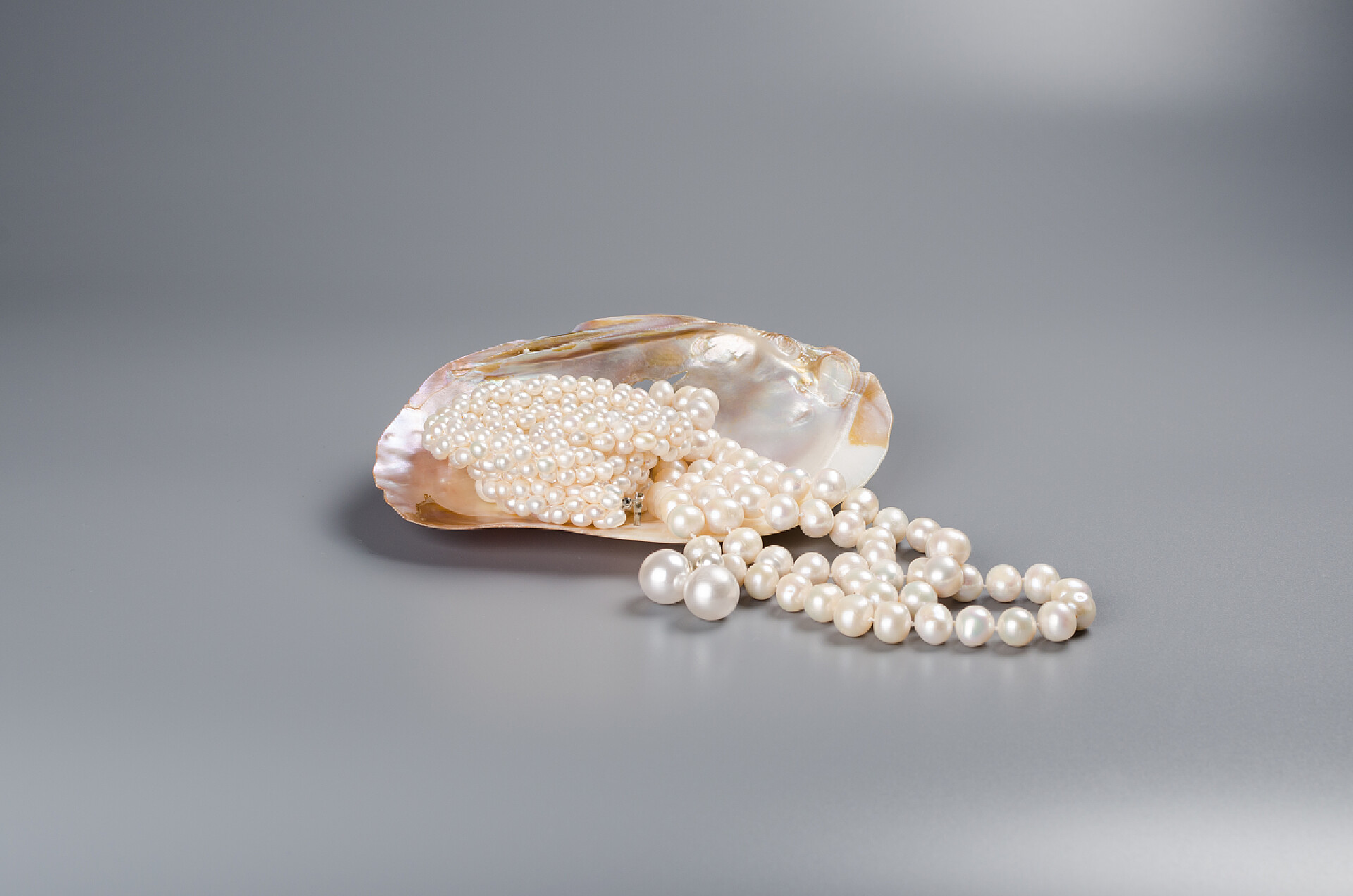 美丽的珍珠美丽的珍珠白色珍珠项链