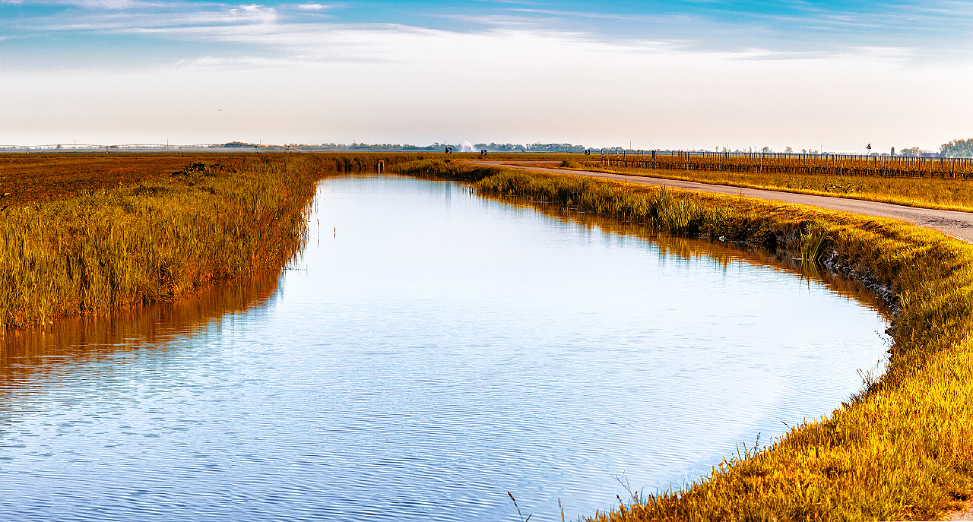 在罗马涅乡村灌溉运河在艾米利亚·罗马涅的乡村流动的田地的灌溉运河