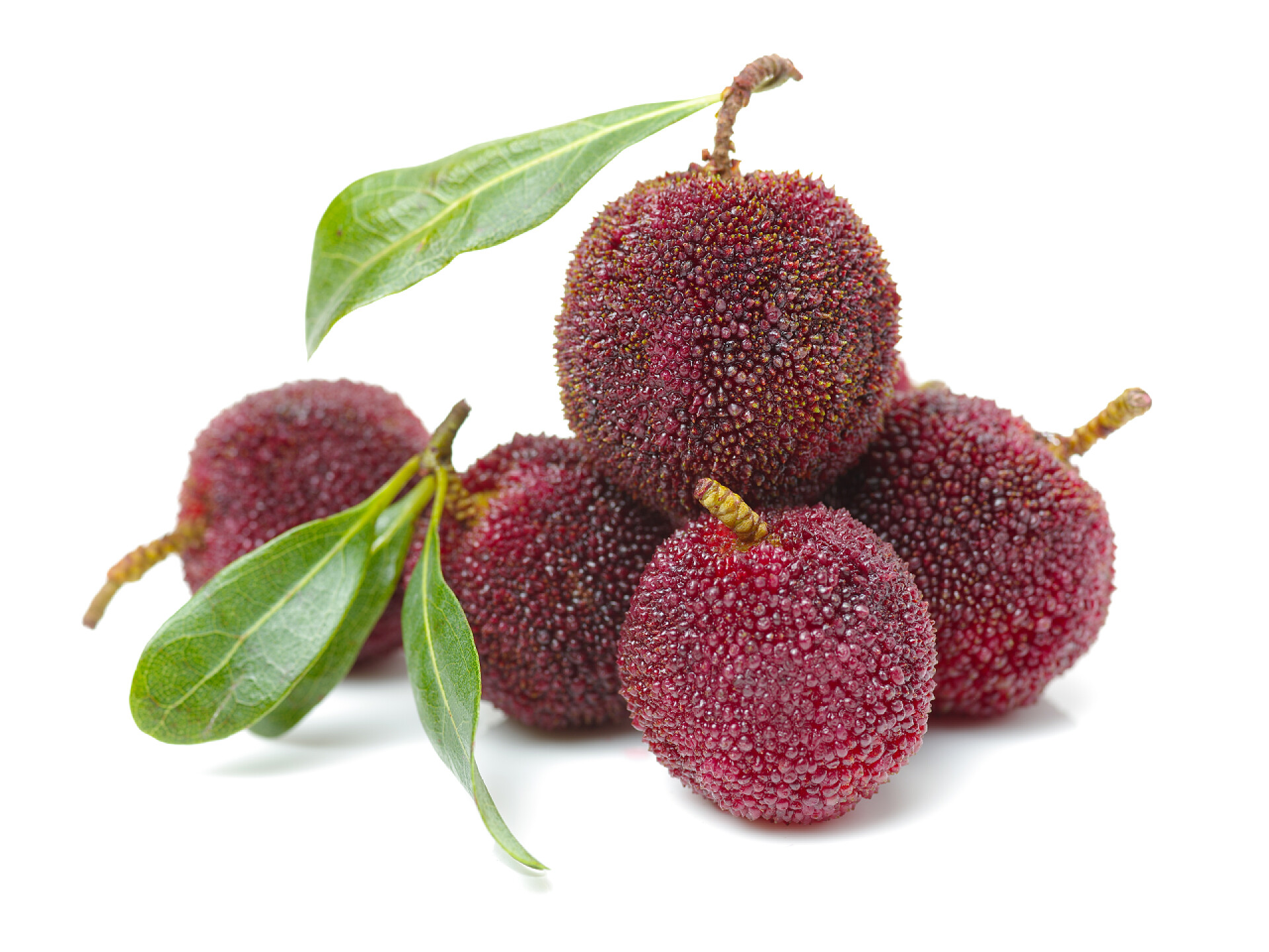 白色背景上的杨梅成熟的杨梅杨梅 (红色) 在白色背景上