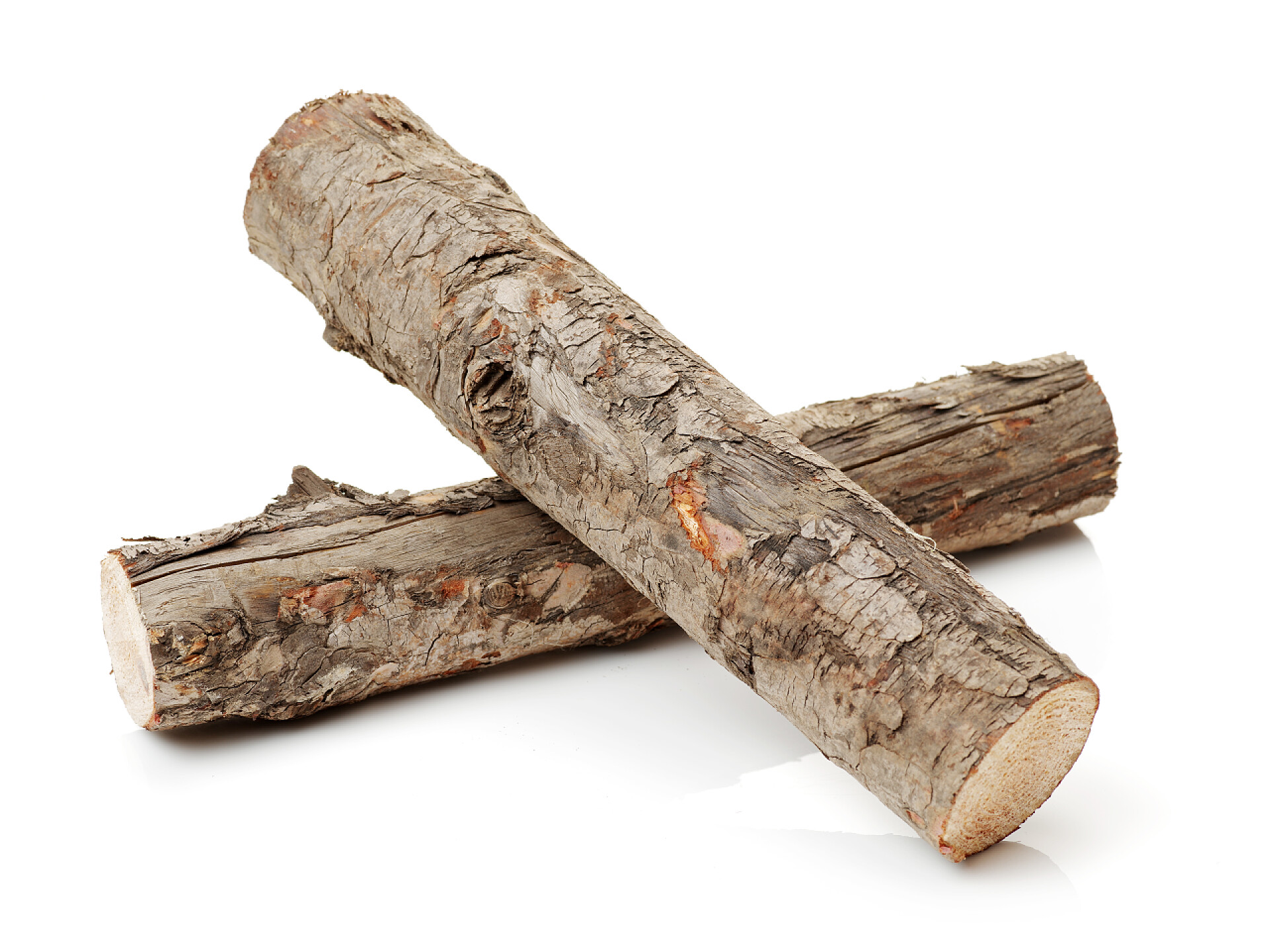 白色背景上的松树原木在白色的松树原木 