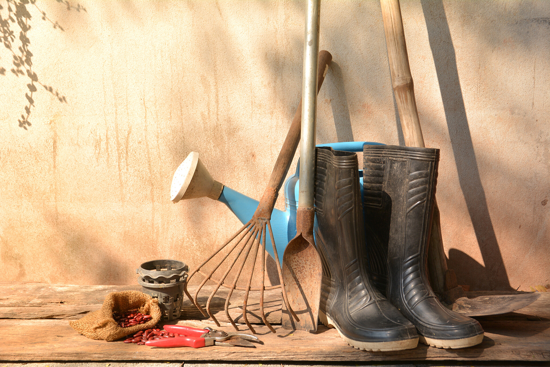 靠在墙上的老式园艺工具在早上的老墙上的老园艺工具.