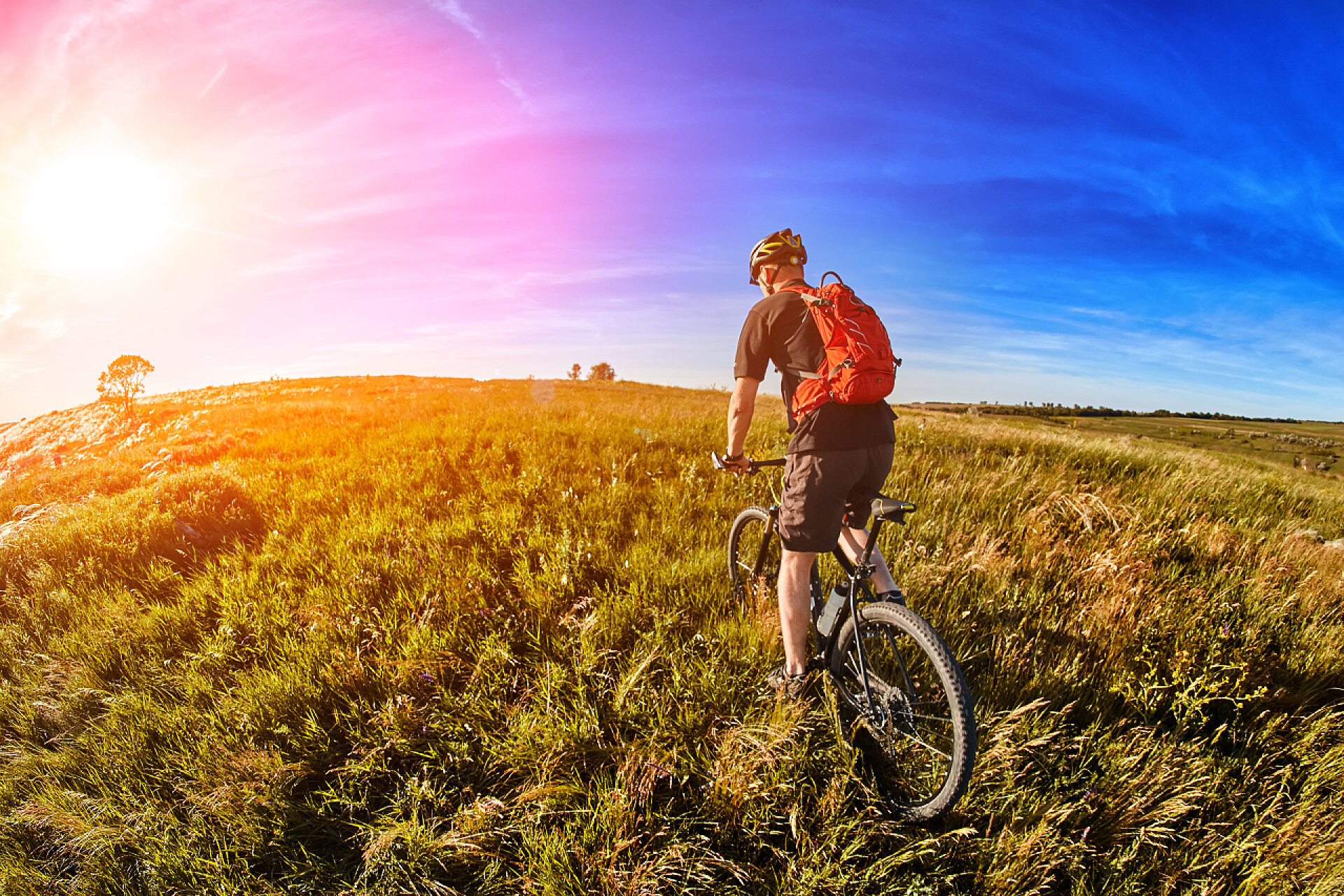 年轻骑手在户外骑行骑单车骑山地自行车穿过绿色的草地，对美丽的天空.