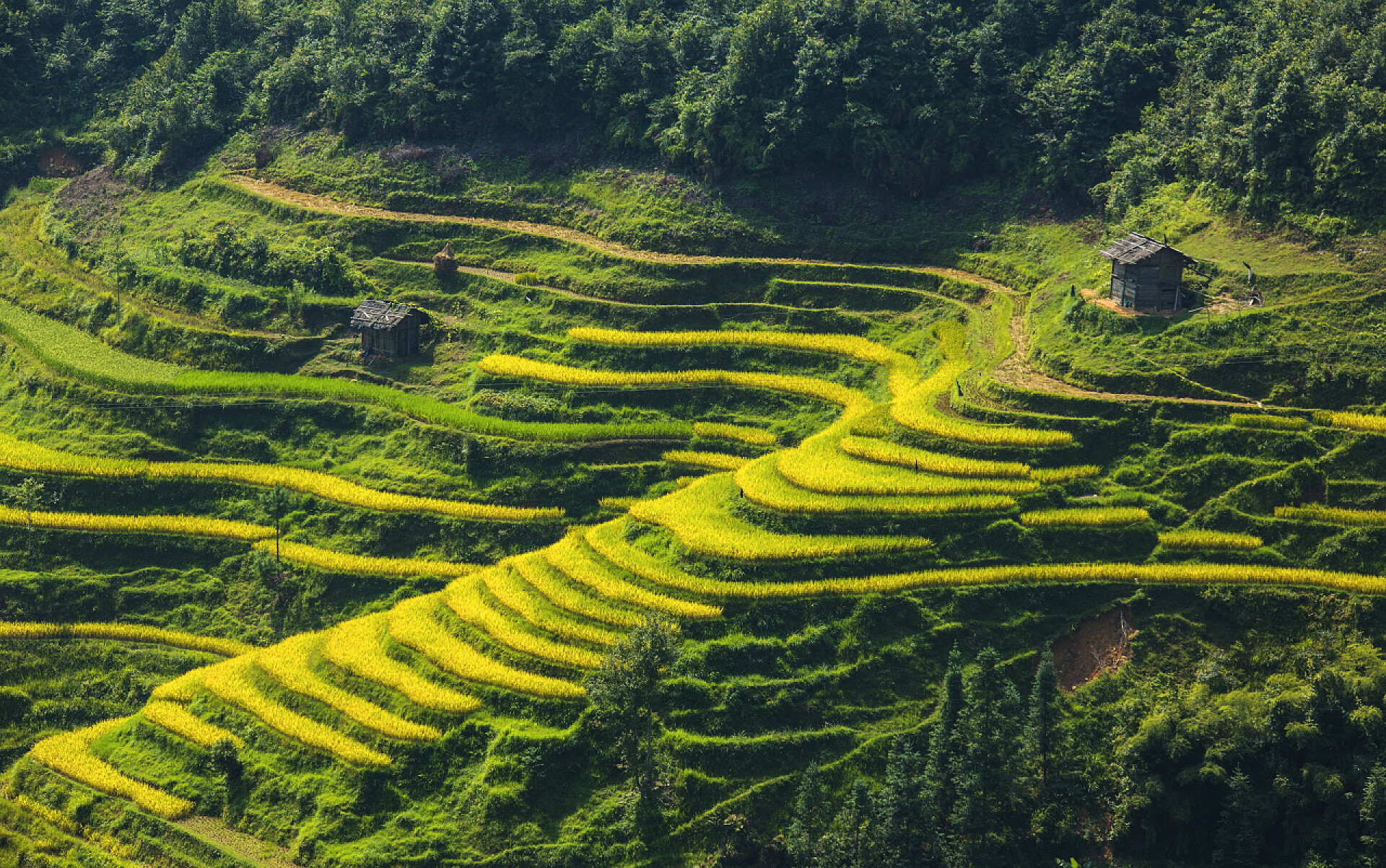 中国贵州苗族梯田风光amitaious 感受苗族国籍