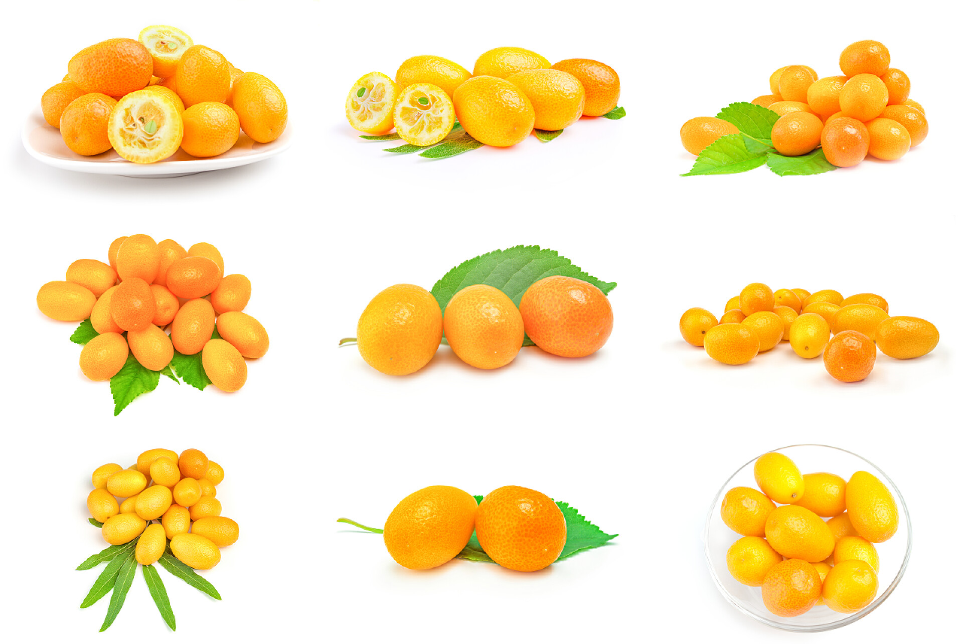 白色背景上的橘子用剪切路径在白色背景上隔离的金橘的集合