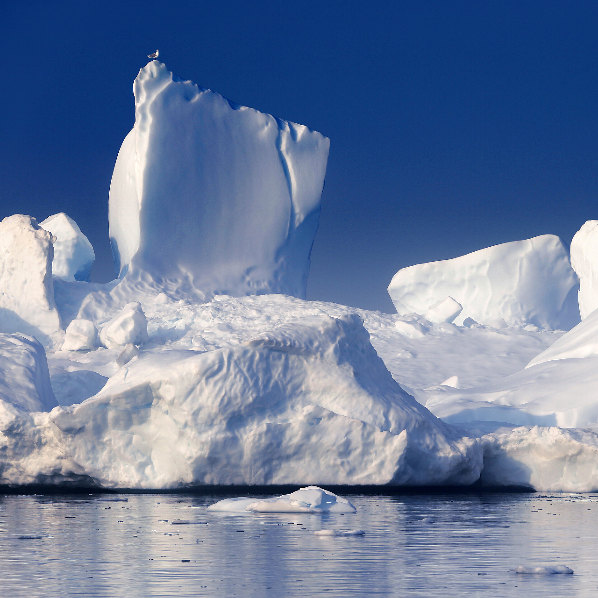 蓝天下的冰山地球的两极地区。各种形式和尺寸的冰山。气候变化与经济增长的年平均气温在这个星球上。极地冰和灾难性融化面积减少.