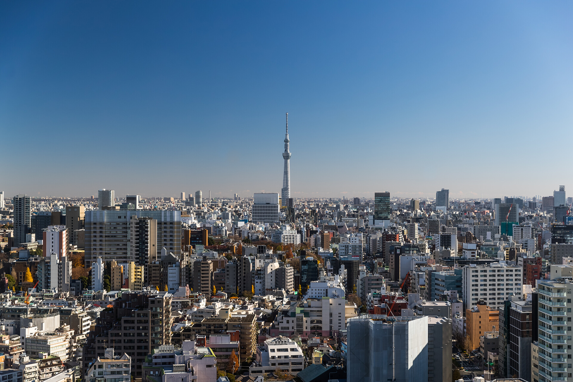 蓝天下的东京天空树地标蓝天下的东京天空树地标