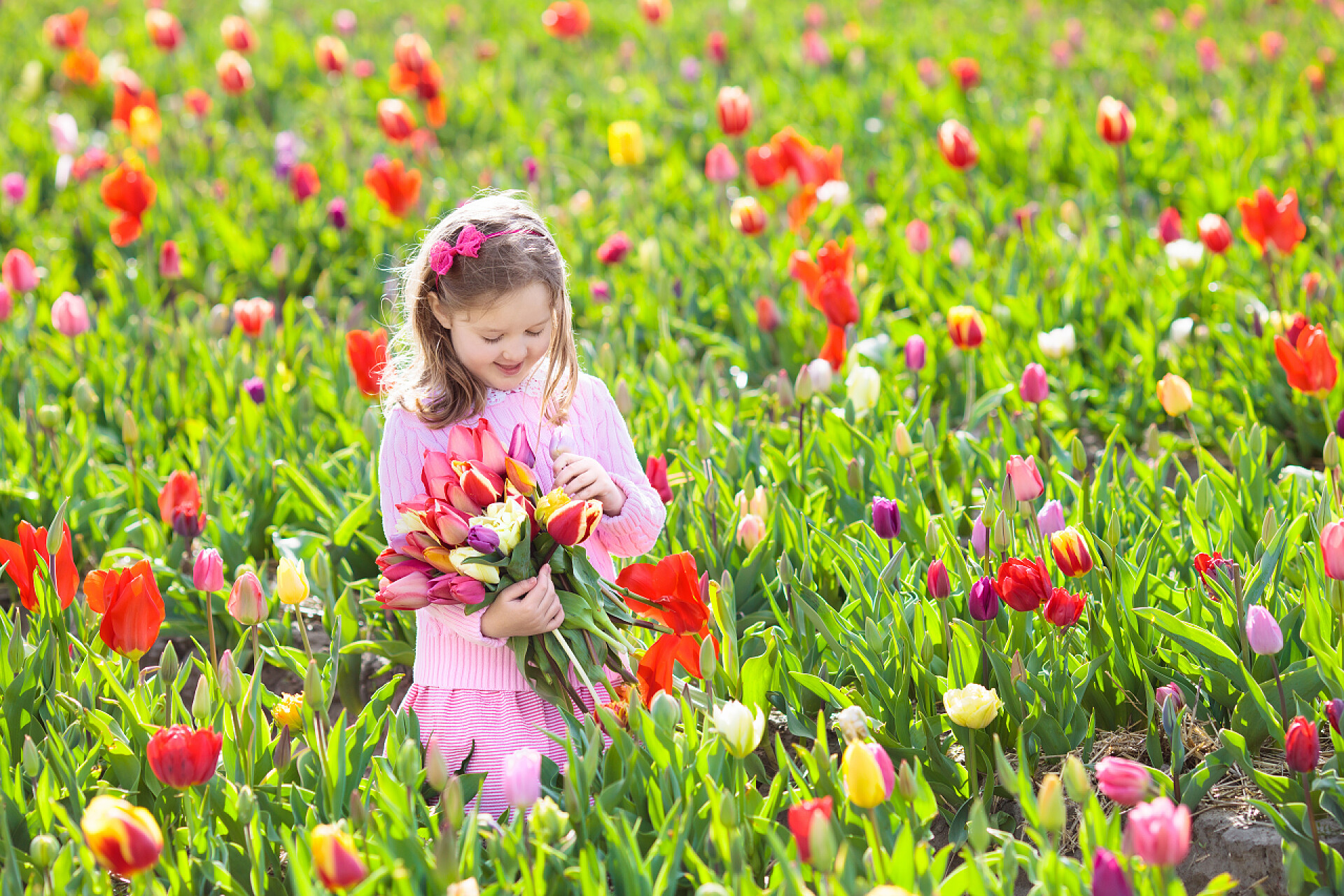在郁金香花海里面的小女孩小女孩在郁金香花园