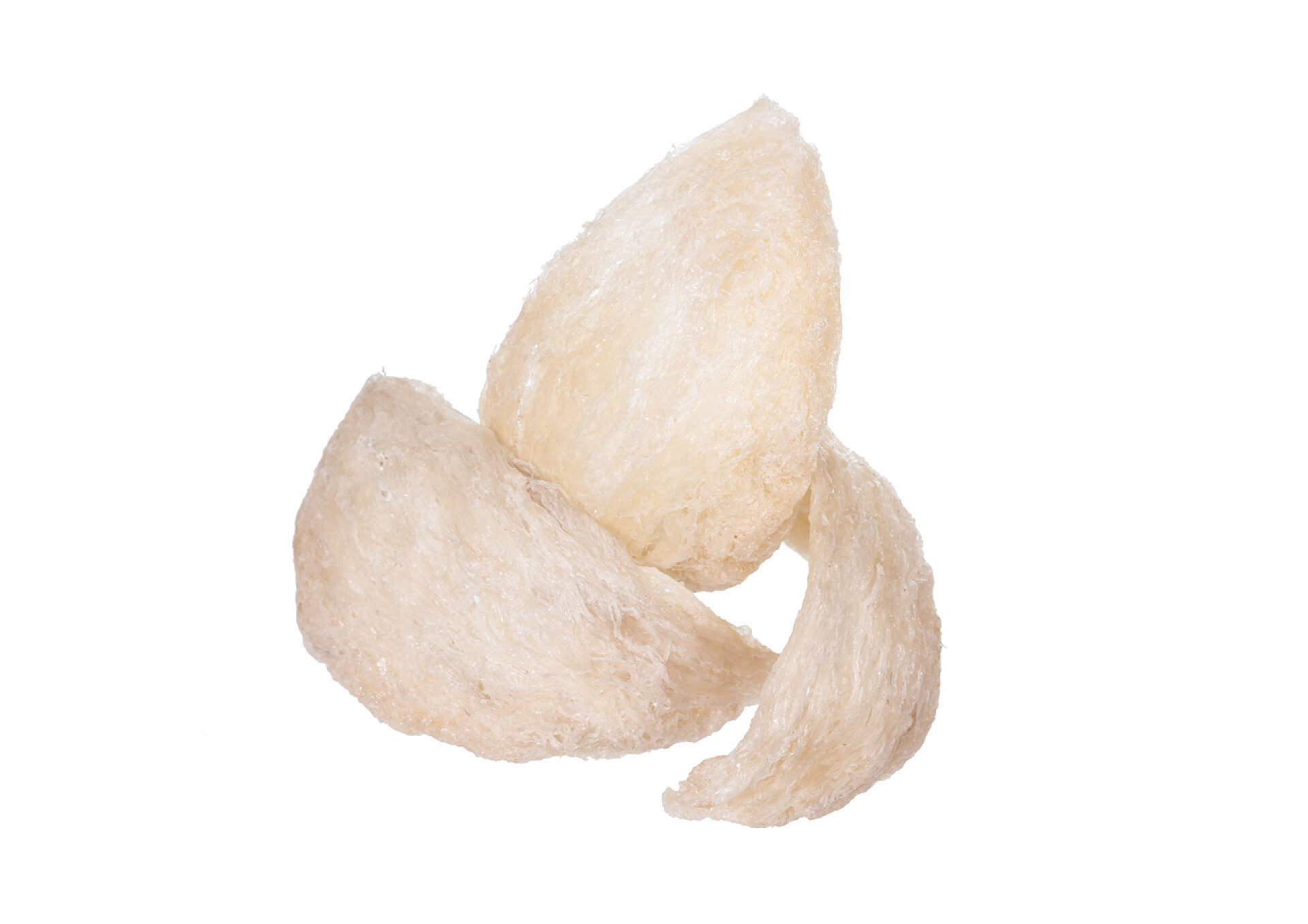 白色背景上的白干燕窝干燕窝 