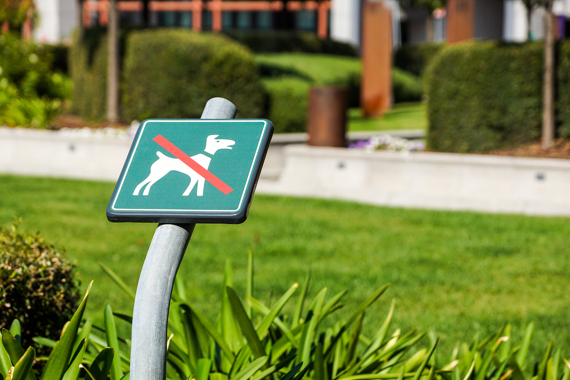 草地上不准遛狗的警示牌子草地上不准有狗牌
