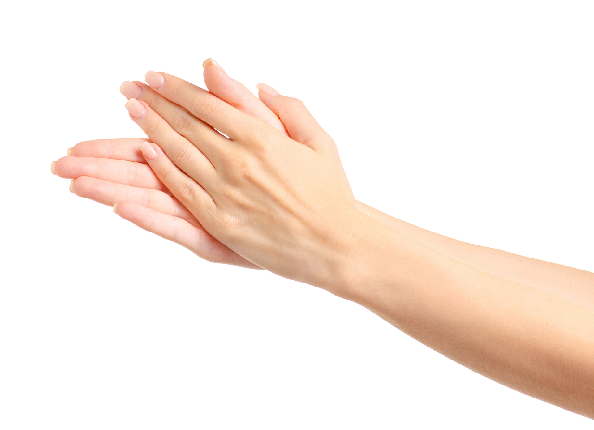 女性的手在白色背景上鼓掌女人的手鼓掌