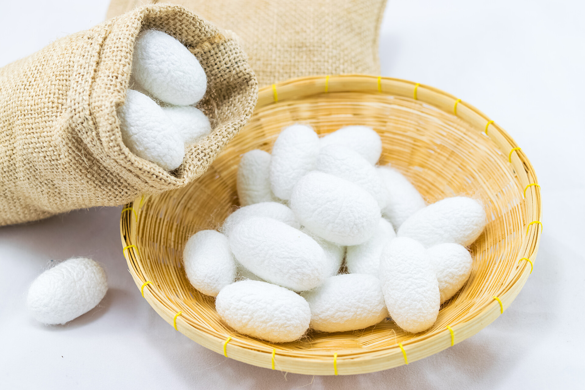 白色背景的篮子及丝绸茧白色背景的篮子丝绸茧