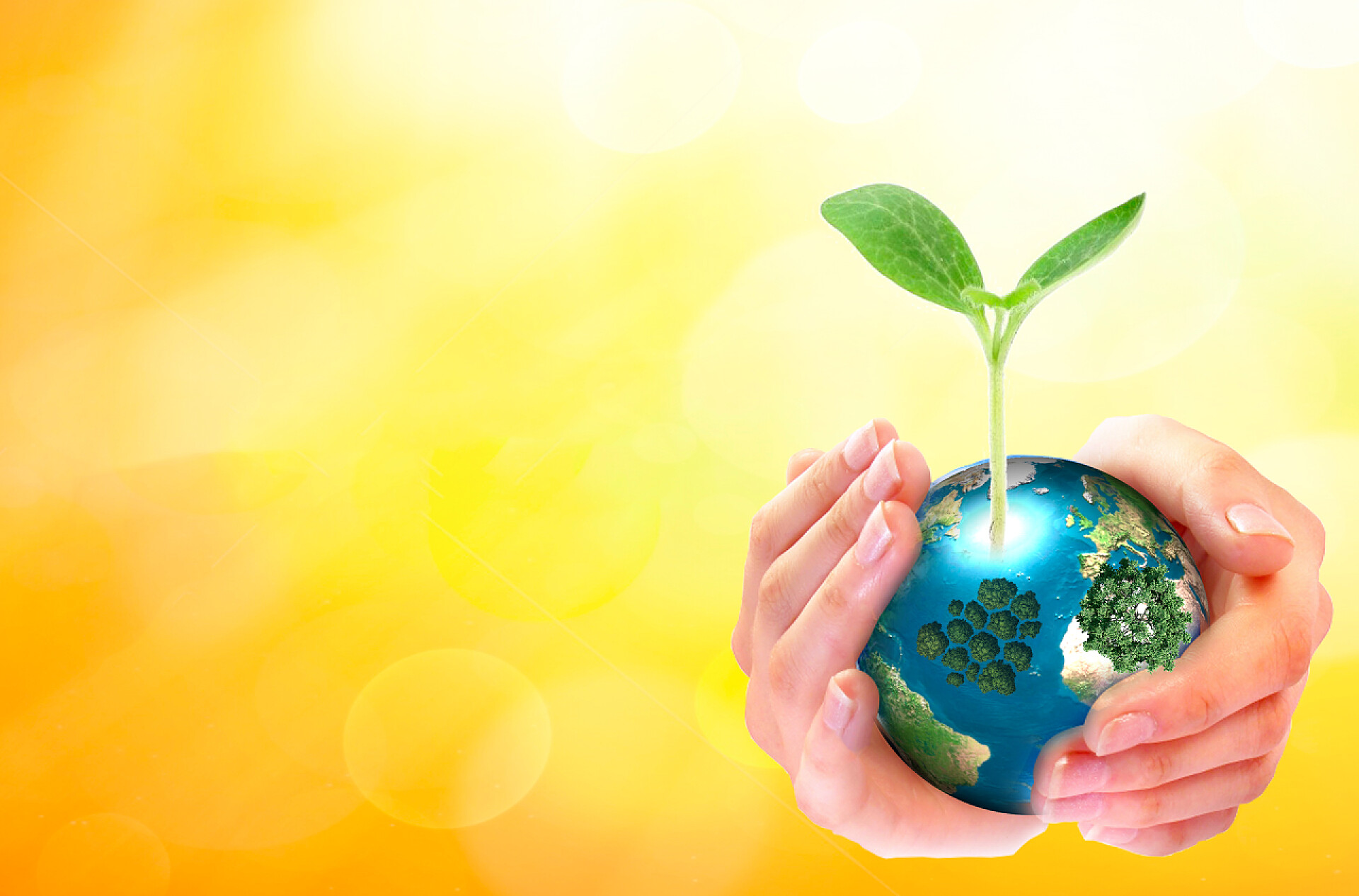 黄色背景上呵护绿色地球世界环境日概念: 人类手拿着大成长树和地球地球在阳光明媚的春天背景