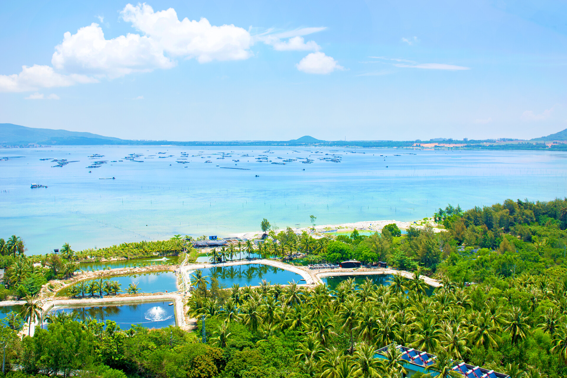 蓝天白云下湖水和椰子树美丽的景色的泻湖与白色的沙子和棕榈树, 绿松石海。从顶部查看.