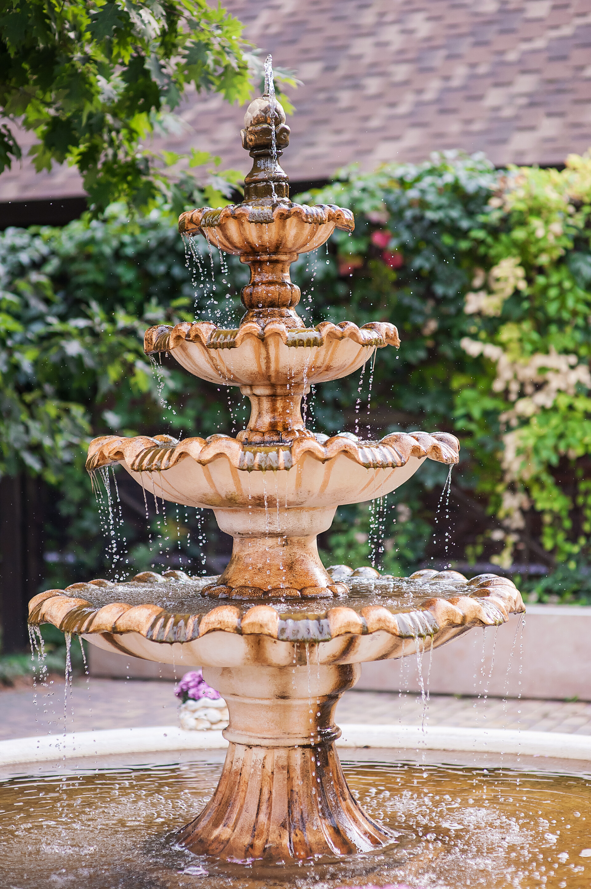 公园里的喷泉喷泉中的水流和飞溅