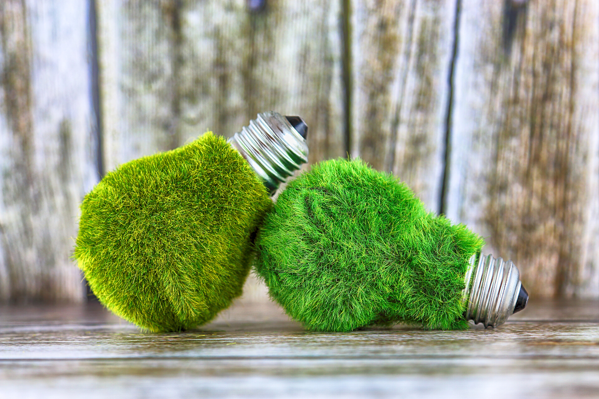 木制背景板上绿色的生态灯泡绿色的生态灯泡与木制背景上的草。可再生能源、生态理念.