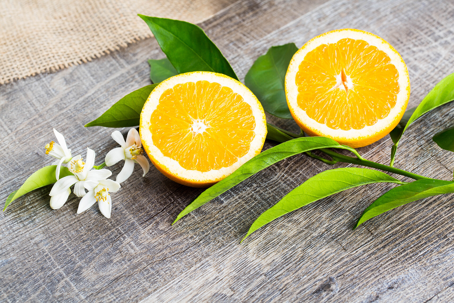 木质桌面上的柠檬多汁的橙切成两部分和内罗利，橙树的花朵，在质朴的木材背景。橙花是柑橘的芬芳花用于香水和茶，壮阳药.