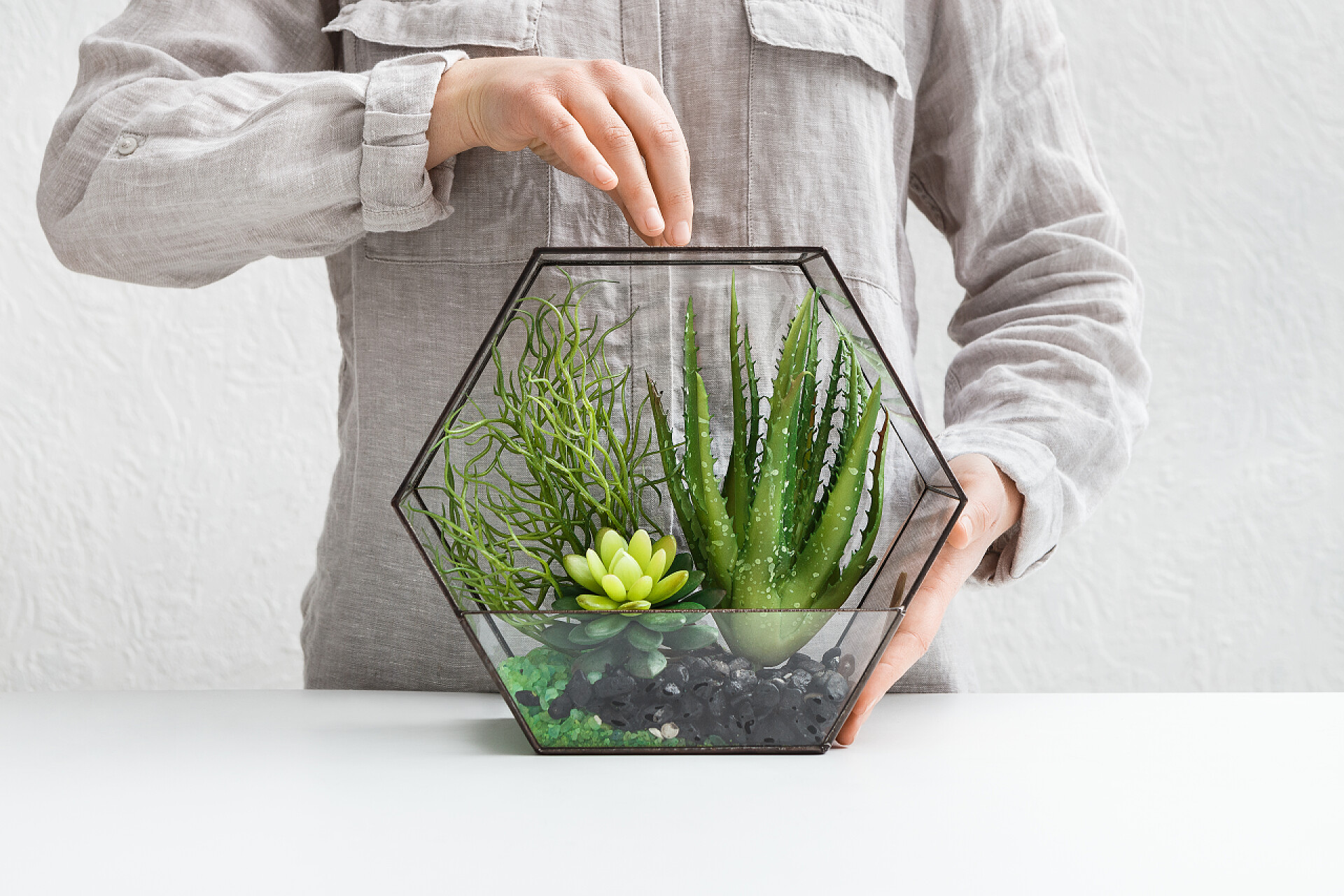 几何植物花瓶里多肉植物绿色室内设计。专业花店服务理念.