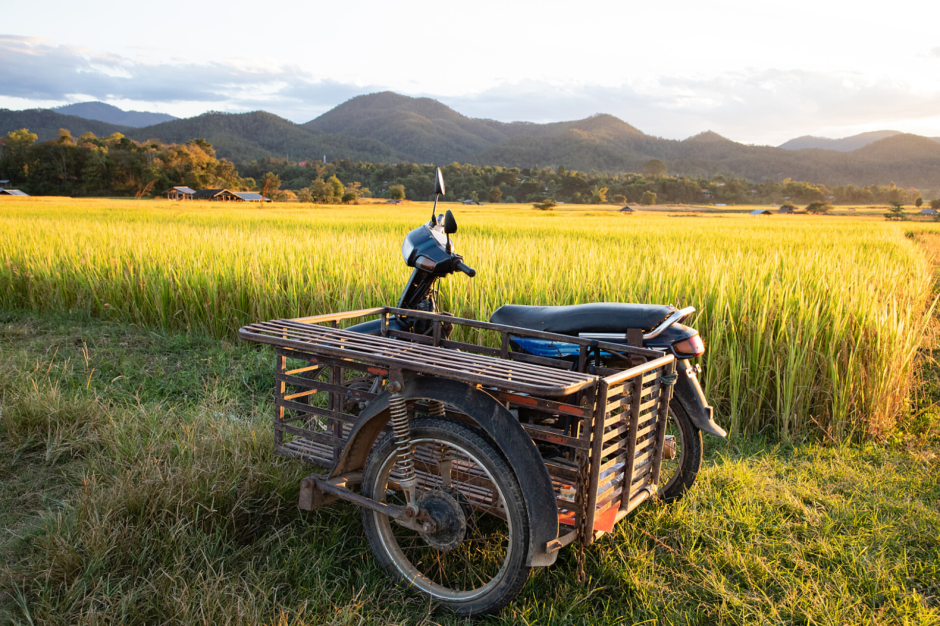 农田上的三轮车