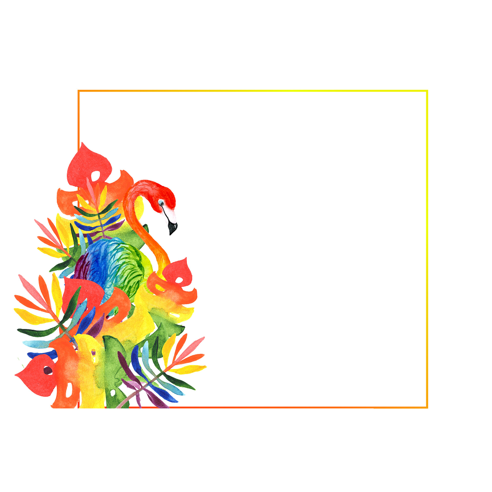 白色背景上的植物边框