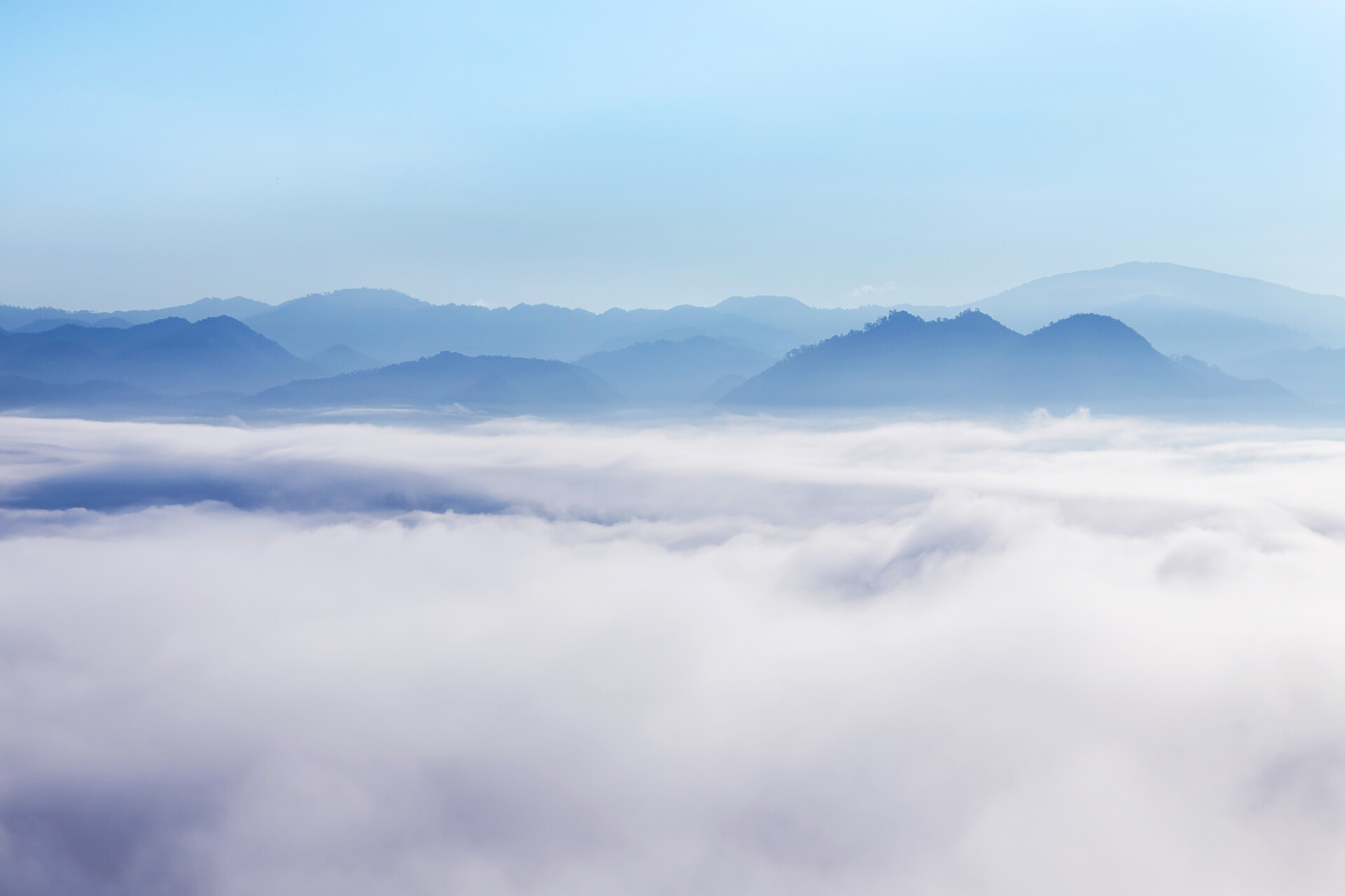 在茂密的热带雨林雾山森林的晨雾 清晨山顶上覆盖着白雾的日出景观 