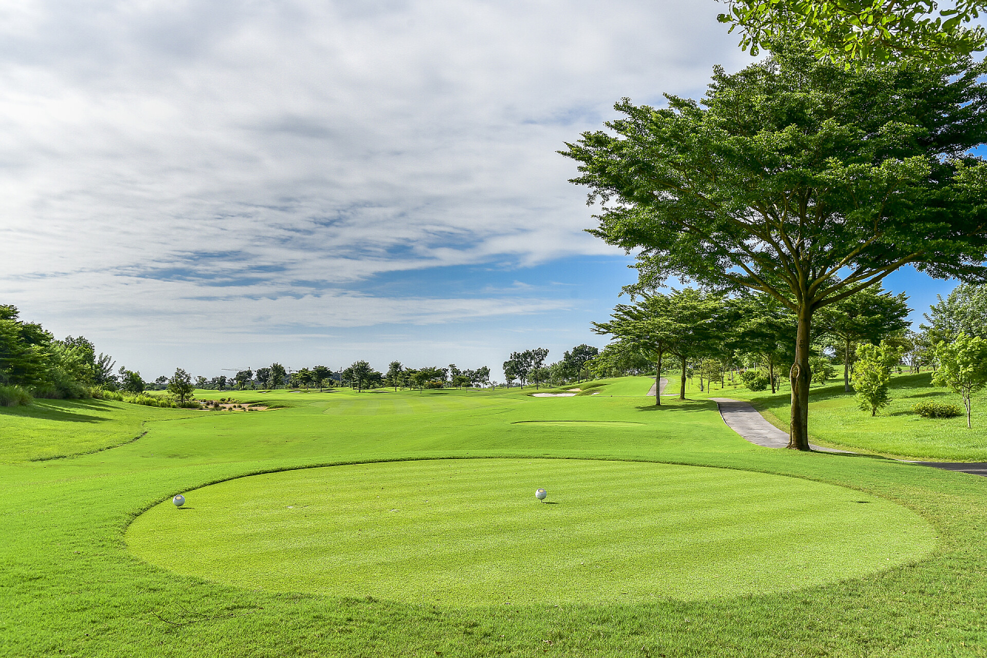 绿色草地高尔夫球场高尔夫球场上绿草和沙银行家的美丽绿色景观