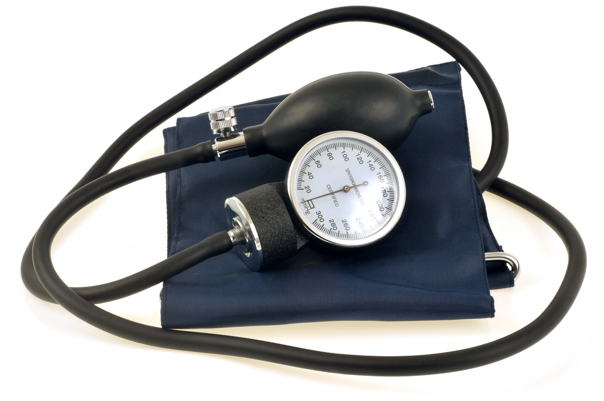 白背景上的表特写白背景上的斯莫莫莫表特写