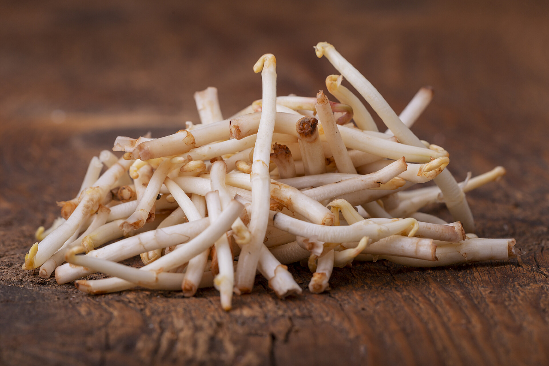 跳芦笋头的特写跳芦笋头的特写 