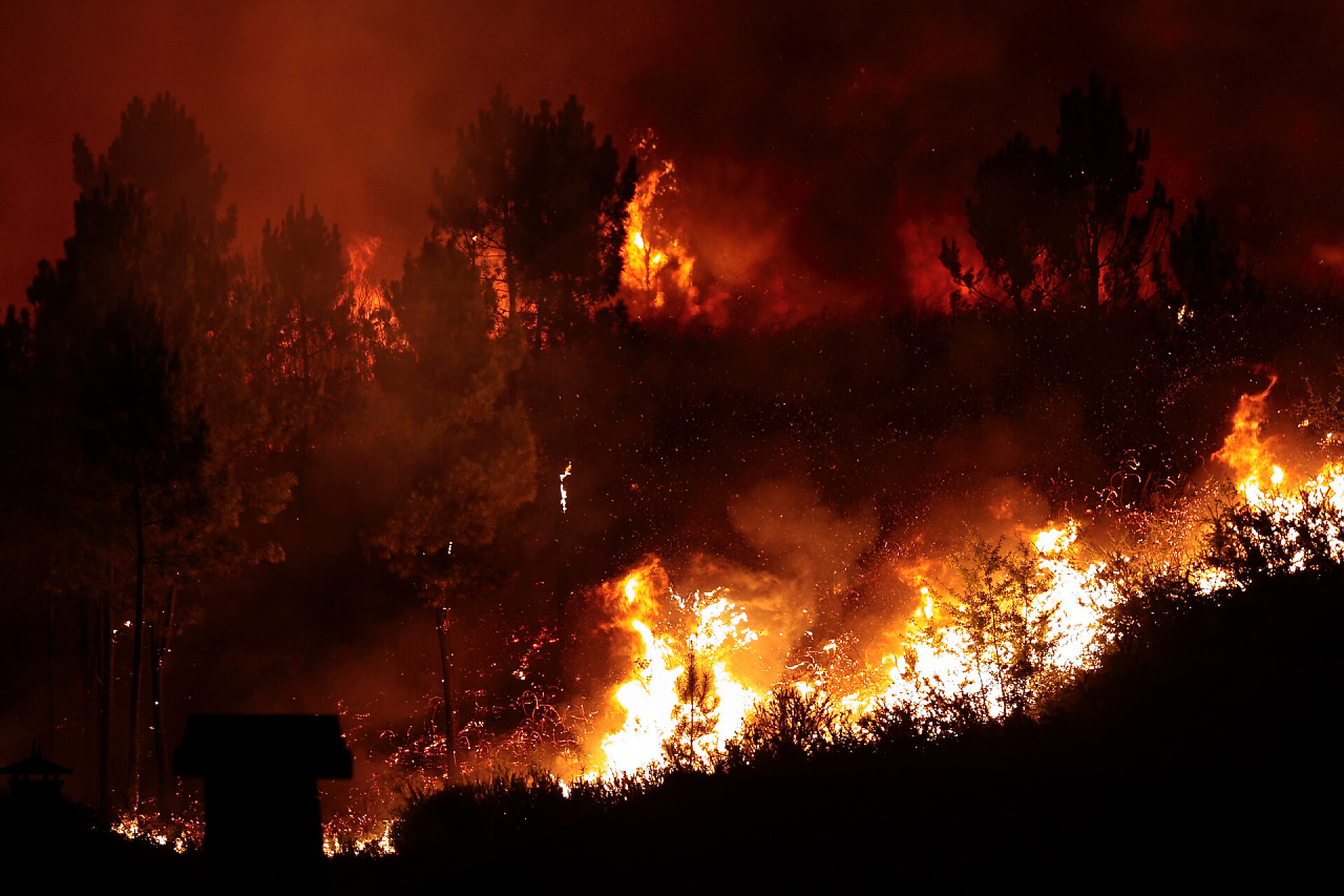 燃烧的大火森林大火非常接近房屋，波沃亚德兰霍索，葡萄牙.