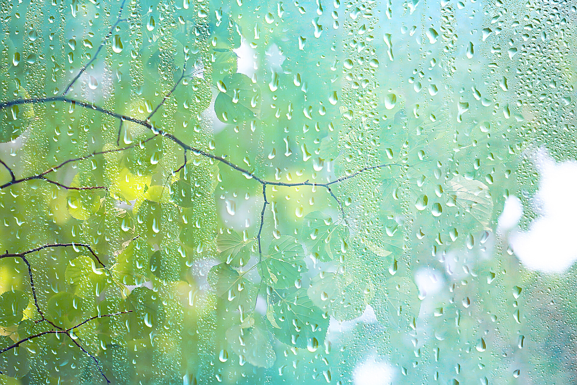 玻璃窗上的水滴夏季雨湿玻璃/抽象背景景观在雨天窗外模糊背景