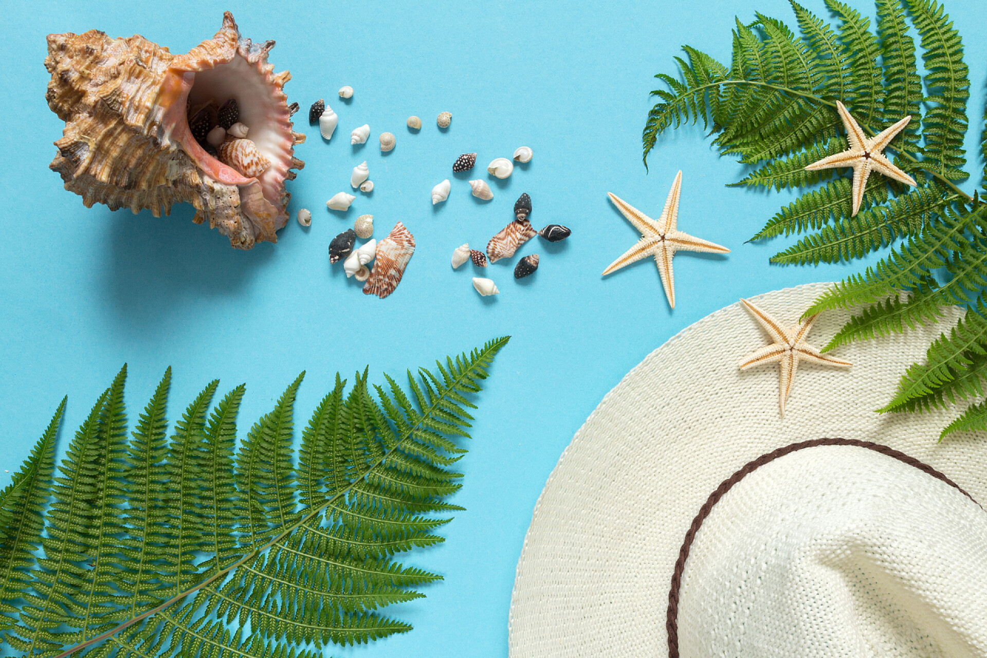 夏日海滩上的贝壳与海星贝壳，草帽叶子在蓝色背景平坦的顶部视图与复制空间，休闲和旅游的概念