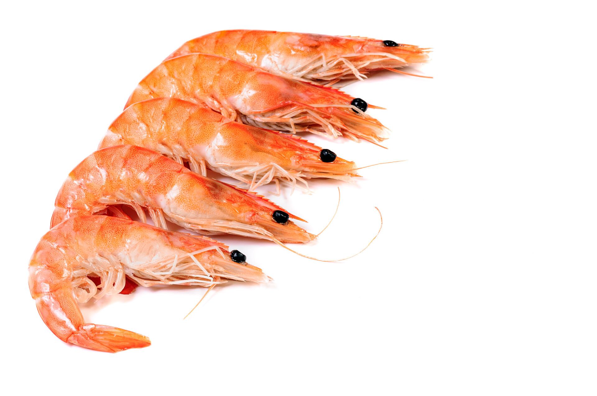 新鲜煮熟的大虾五只煮熟的虾仁被隔离 