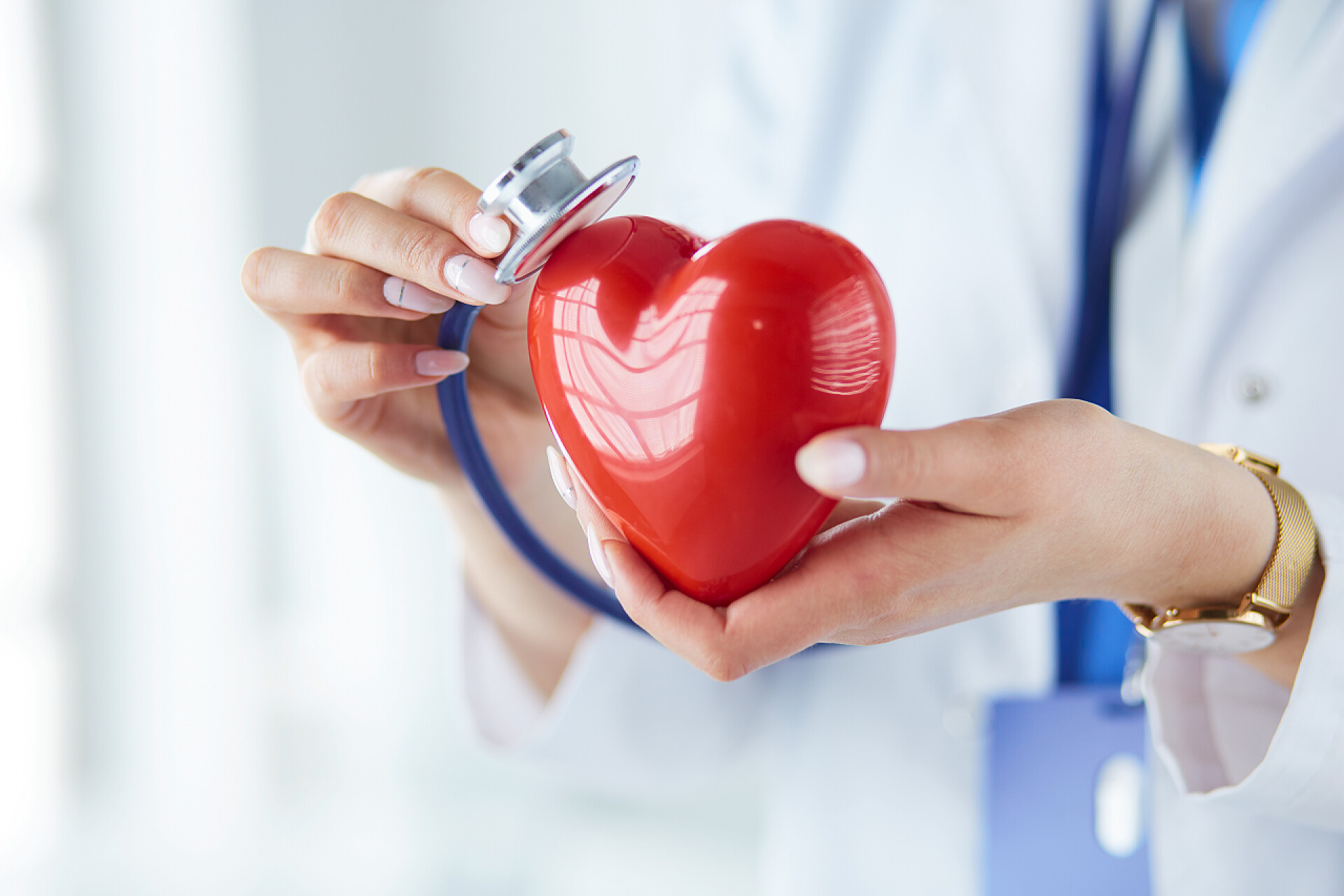 年轻的护士手里拿着红色心脏模型一个医生用听诊器检查红心，用白色背景隔离的医生