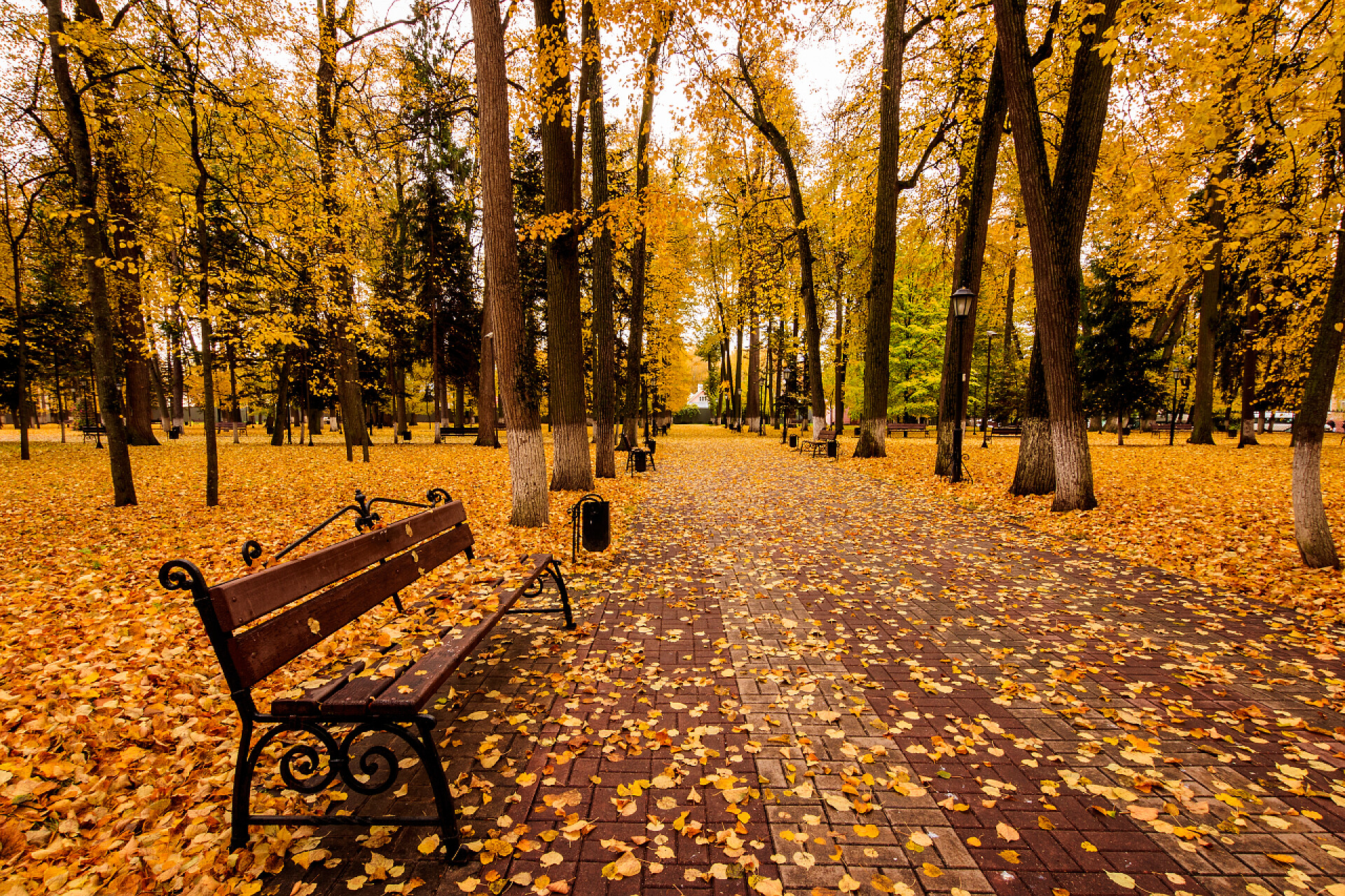 秋天树叶落在公园里秋天，树叶与长椅一起落在公园里.