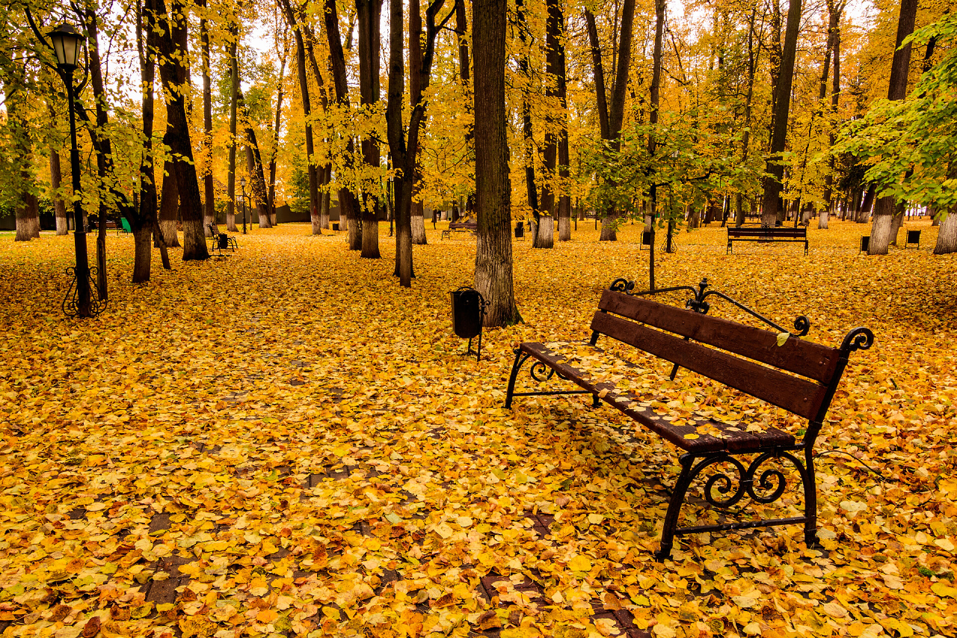 秋天树叶落在公园里秋天，树叶与长椅一起落在公园里.