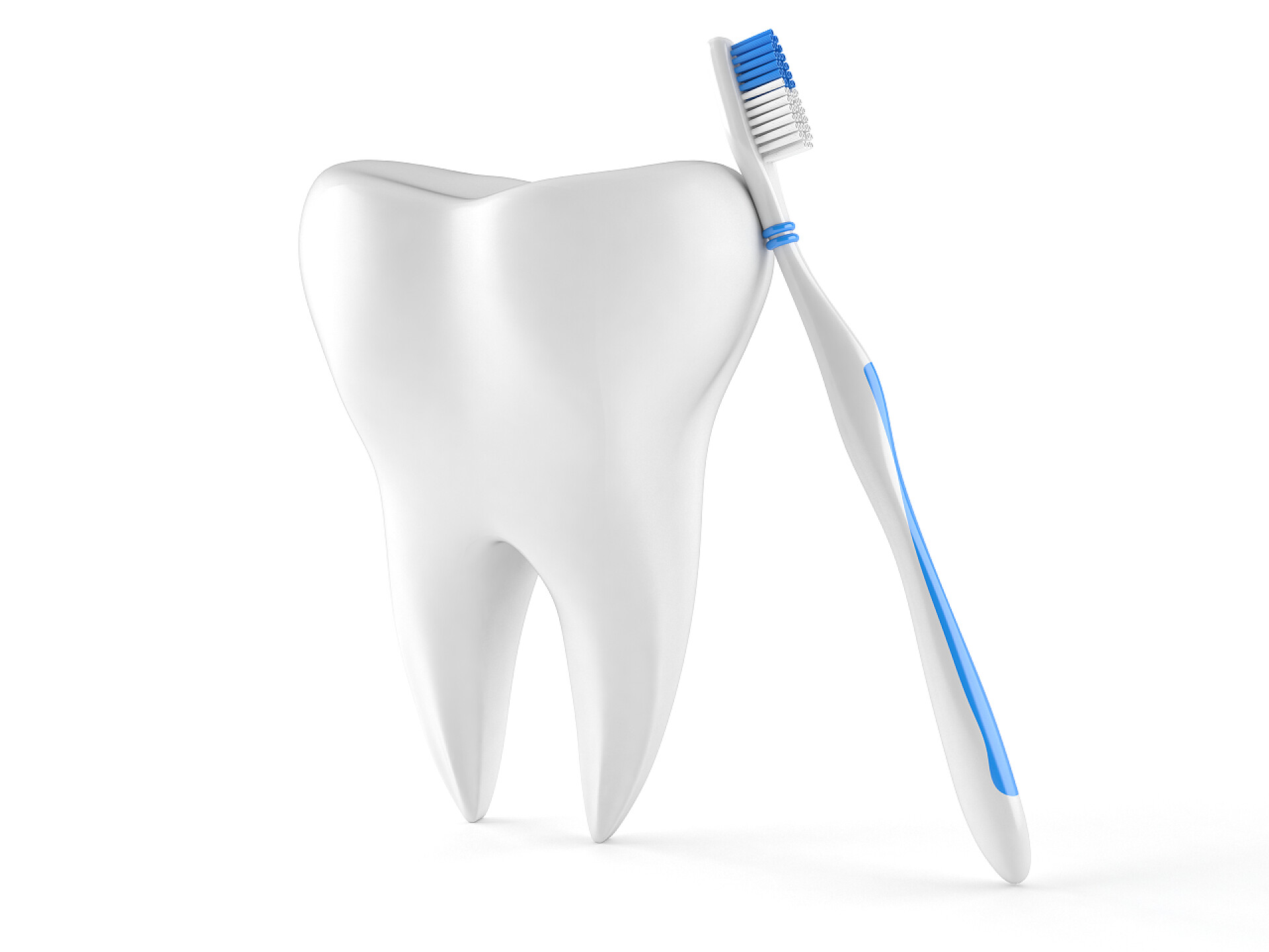 白色背景上的牙齿和牙刷牙的牙刷