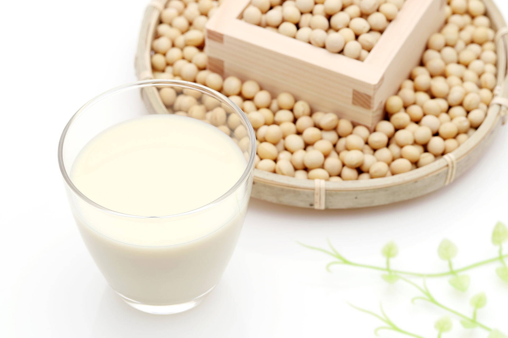 一杯现磨豆浆白底豆腐乳杯 