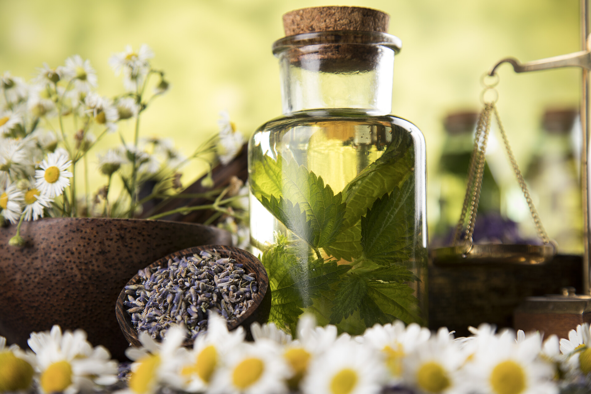 木桌上的小雏菊和精油石油和天然药物，木制桌布背景